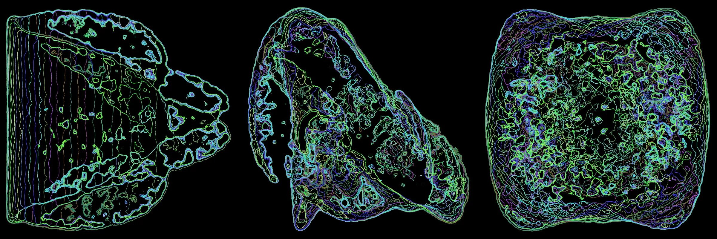 Primordial presents forms as diverse as those found in the natural world. The emergent system powering Primordial is capable of generating this diversity but is hard to control. After the initial generation there is a curation step; forms must meet certain criteria or the algorithm replaces them.

The forms produced by Primordial are presented in a triptych, as comparing multiple outputs is fundamental to understanding a generative algorithm. Primordial attempts to generate triptychs where the individual forms are related, and the results can be surprisingly harmonious or discordant.

Once the triptych is finalized, click on one of the forms to redraw a previous image. Press s to save the entire triptych, or 1-3 to save an individual image.