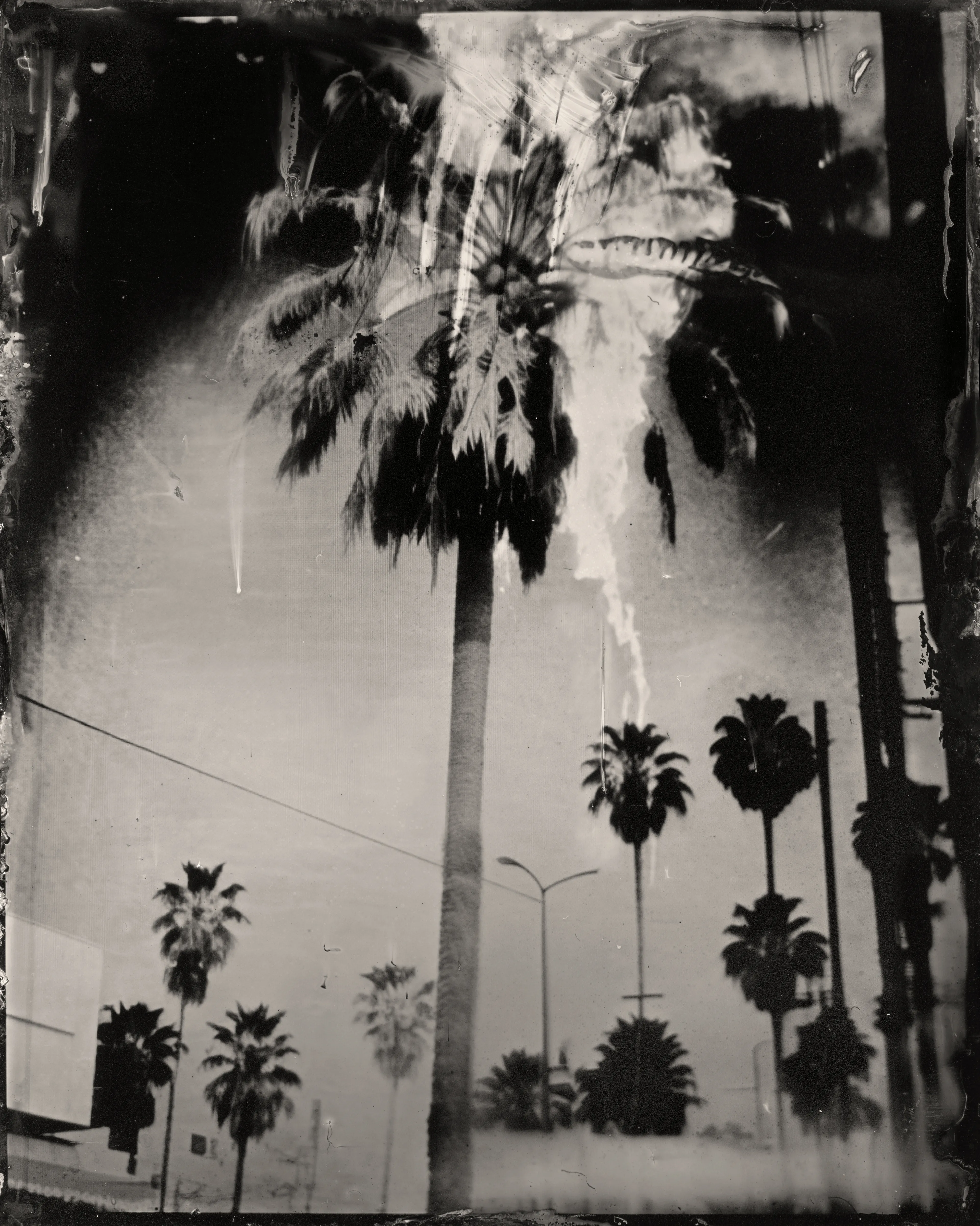 Data in silver on black metal. AI is combined with the darkroom photography technique of Wet Plate Collodion, one of the earliest forms of chemical photography ever discovered in the 1850’s.  
----  
Smoke 'Em Out  
Erika Weitz  
1/1  
2023