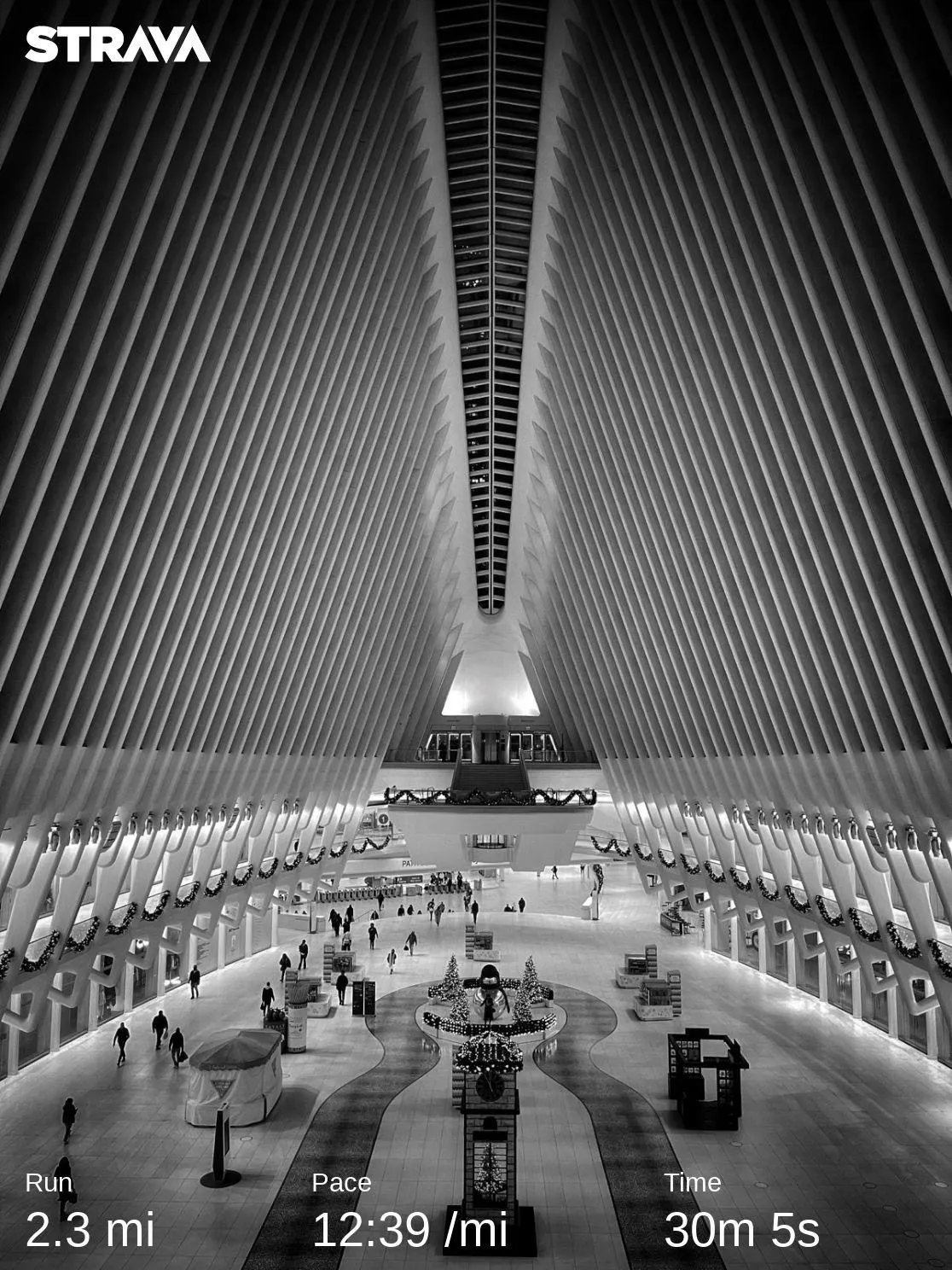 Location: Oculus Center, New York City.  Designed by Spanish architect Santiago Calatrava. 

Here's a photo I took on my iPhone during my run.
All runs are recorded on Strava and/or Garmin.
If for any reason I miss my daily run, I will have to start from Day 1.
Thank you for following my journey!
Unlockable content available (without the Strava stats)
Movement is LIFE.
Art is LIFE.
#24x7Movement
#RunArtStreak
*The official definition of a running streak, as adopted by the Streak Runners International, Inc., and United States Running Streak Association, Inc., is to run at least one mile (1.61 kilometers) within each calendar day. Running may occur on either the roads, a track, over hill and dale, or on a treadmill.
Source: https://www.runeveryday.com/