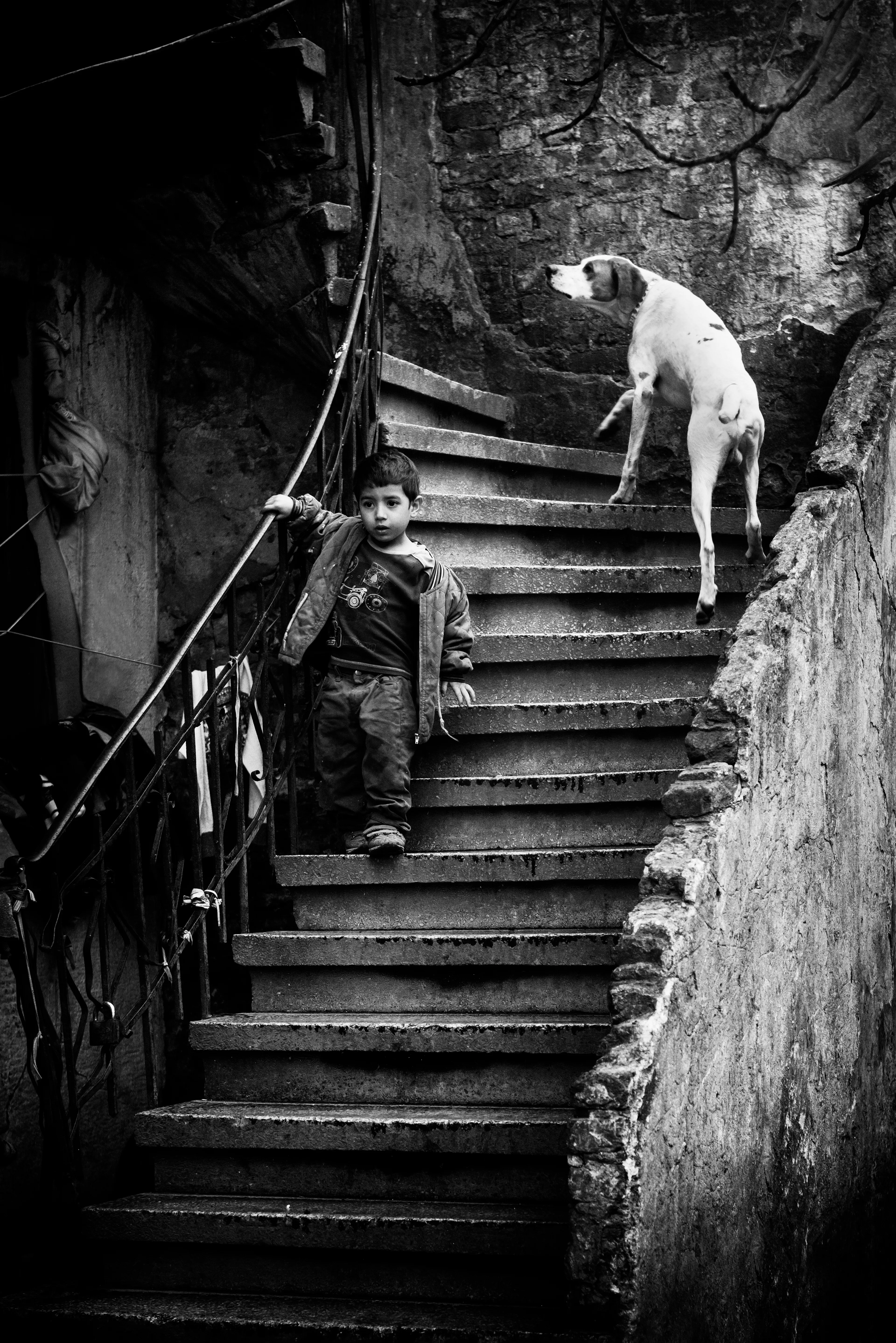 Sometimes a dog, sometimes a cat, becomes a human's best friend. Pure love.