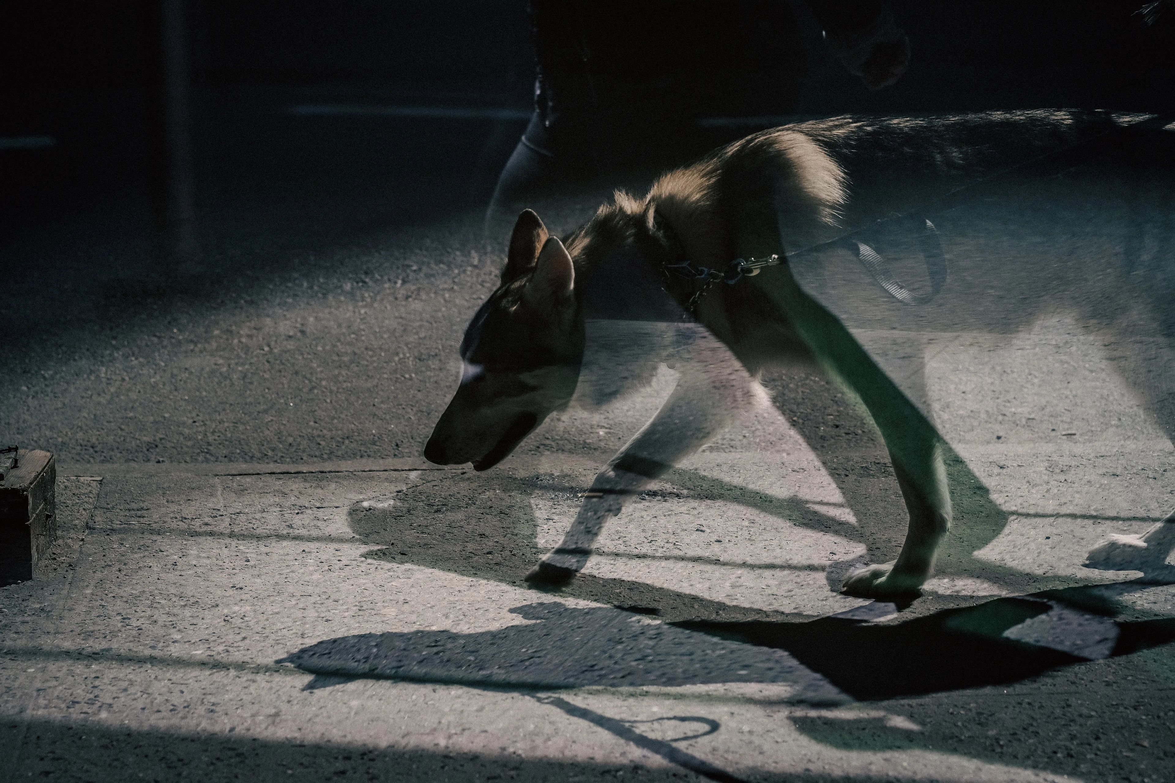 The City is engraved in its inhabitants, who in turn engrave themselves unto each other, not knowing how, when, or why. Identities disappear, dissipate and dilute into the roaring crowd. One question clouds my mind as I stand still observing through my camera’s big wide eye: Will it swallow me whole? Will we become one? One more tag on the wall? One more chewing gum on the ground, stepped on by the weight of the mass, becoming thus the texture of every day, of everyone?