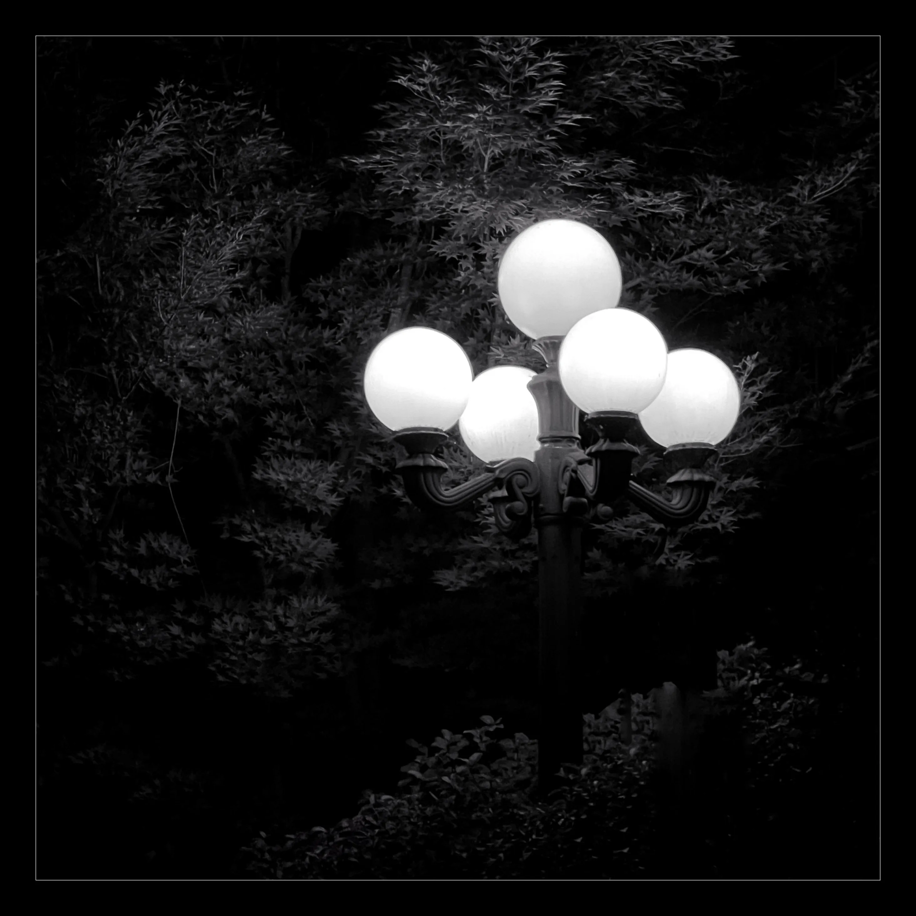 Nathaniel Rateliff- Oil and Lavender

Stroll is a nightly diary of my late night walks through my neighborhood, explored through my iPhone.

We recently moved to a new place, which shone a light on how bad our old place actually was– an uninspiring location, hot, loud, and with inconsiderate neighbors. Moving to this new location has been a breath of fresh air not just for my mental health, but my creative spirit as well.

Every evening since we’ve been here I have gone on a late night stroll through the neighborhood and photographed the scenes that I see with my iPhone. The two block walk takes me through a forested path in a park, past a church, down the street, and back to our place. Putting in my ear buds and slowly meandering along the way has become one of my favorite things to do and has been a breath of fresh air for me, in more ways than the literal sense.

Most nights I walk solo. Some nights I walk with my son, bonding along the way as we both take photographs and talk about photography and life. This walk helps me to build familiarity and a sense of home that I haven’t felt for a long time. As I walk, I revisit the same trees, the same lampposts, and the same bushes, and I watch how they change from day to day. Once the cooler weather hits, I will see them transform drastically.

=== HUDSON ===  
Twice along my walks so far I have encountered a lost cat that I have named Hudson. He is one of the most loving cats that I’ve ever met and he follows me around the neighborhood, always demanding pets and love, and stretching out for them. He’s been a true light the nights that I see him and he feels like a friend. When he sees me, he runs over to me, rolls around on the ground for pets, and then walks with me, once all the way to our front door. I think that I have located his owners, and I’m in contact with them to help return him home to his lucky family.

As of this writing, I have seen Hudson twice and I now go out of my way when coming and going to see if I can bump into him again. All I know is that one day I will see Hudson for the last time.

But for now, I am so in love with him and the nights where I see him we spend significant amounts of time together and my night is made so much better with his company.

=== THE PHOTOS ===  
Be forewarned, these photos have only ever been jpegs and they are not technically perfect. That’s not what these photos are about. They are about how I am building intimate familiarity with a fresh breath of life.

 • I never photograph people and I never photograph residences. Only anonymous scenes during my two block walk and the courtyard of the nearby church.

• Some nights will have no photo due to travel or other circumstances. Some nights will have one photo. Some nights will have more than one. 

• Aside from the first drop, I mint these the night that I take them. The easiest way to keep up to date with this drop is to follow me on social media, where I will also be posting these nightly, or subscribe to my wallet on Deca and/or Manifold.  
     • https://twitter.com/tjthorne_photo  
     • https://www.instagram.com/tjthorne_photography  
     • https://www.threads.net/@tjthorne_photography  
     • https://deca.art/TJThorne  
     • 0x6C0040BdA93e4Cf433c0aa8498bD624397aECe30, 
     • tjthorne.eth

• On the days I see Hudson, those photos will have a property noting that. Only a few photos will have this property.

• Some photos have been taken by my son. These photos are noted in the properties and 100% of any sale will go to a wallet that I am setting up for him as the beginning of his savings for his future.

I have so much work that I need to do, but right now this is the one creative outlet that I have in the sea of products, pricing, marketing, and more that comes with building a business. And it’s pure. I enjoy it. It excites me. And I want to share that with you.

Maybe one day I will tire of the walk. Or one day we might move. For whatever reason, there is an unknown time of conclusion of this series.

But for now, it’s filling me up.