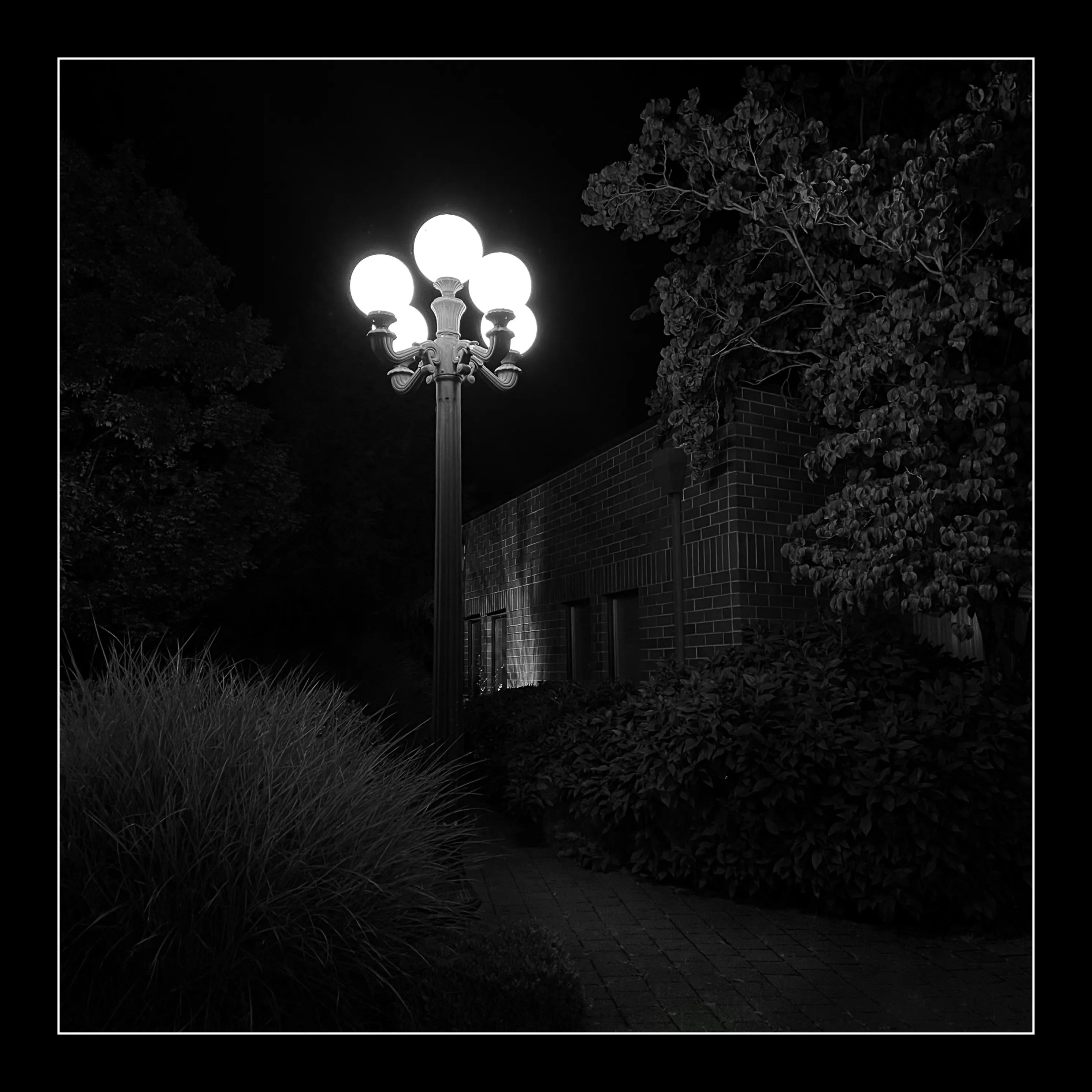Stroll is a nightly diary of my late night walks through my neighborhood, explored through my iPhone.

We recently moved to a new place, which shone a light on how bad our old place actually was– an uninspiring location, hot, loud, and with inconsiderate neighbors. Moving to this new location has been a breath of fresh air not just for my mental health, but my creative spirit as well.

Every evening since we’ve been here I have gone on a late night stroll through the neighborhood and photographed the scenes that I see with my iPhone. The two block walk takes me through a forested path in a park, past a church, down the street, and back to our place. Putting in my ear buds and slowly meandering along the way has become one of my favorite things to do and has been a breath of fresh air for me, in more ways than the literal sense.

Most nights I walk solo. Some nights I walk with my son, bonding along the way as we both take photographs and talk about photography and life. This walk helps me to build familiarity and a sense of home that I haven’t felt for a long time. As I walk, I revisit the same trees, the same lampposts, and the same bushes, and I watch how they change from day to day. Once the cooler weather hits, I will see them transform drastically.

=== HUDSON ===  
Twice along my walks so far I have encountered a lost cat that I have named Hudson. He is one of the most loving cats that I’ve ever met and he follows me around the neighborhood, always demanding pets and love, and stretching out for them. He’s been a true light the nights that I see him and he feels like a friend. When he sees me, he runs over to me, rolls around on the ground for pets, and then walks with me, once all the way to our front door. I think that I have located his owners, and I’m in contact with them to help return him home to his lucky family.

As of this writing, I have seen Hudson twice and I now go out of my way when coming and going to see if I can bump into him again. All I know is that one day I will see Hudson for the last time.

But for now, I am so in love with him and the nights where I see him we spend significant amounts of time together and my night is made so much better with his company.

=== THE PHOTOS ===  
Be forewarned, these photos have only ever been jpegs and they are not technically perfect. That’s not what these photos are about. They are about how I am building intimate familiarity with a fresh breath of life.

 • I never photograph people and I never photograph residences. Only anonymous scenes during my two block walk and the courtyard of the nearby church.

• Some nights will have no photo due to travel or other circumstances. Some nights will have one photo. Some nights will have more than one. 

• Aside from the first drop, I mint these the night that I take them. The easiest way to keep up to date with this drop is to follow me on social media, where I will also be posting these nightly, or subscribe to my wallet on Deca and/or Manifold.  
     • https://twitter.com/tjthorne_photo  
     • https://www.instagram.com/tjthorne_photography  
     • https://www.threads.net/@tjthorne_photography  
     • https://deca.art/TJThorne  
     • 0x6C0040BdA93e4Cf433c0aa8498bD624397aECe30, 
     • tjthorne.eth

• On the days I see Hudson, those photos will have a property noting that. Only a few photos will have this property.

• Some photos have been taken by my son. These photos are noted in the properties and 100% of any sale will go to a wallet that I am setting up for him as the beginning of his savings for his future.

I have so much work that I need to do, but right now this is the one creative outlet that I have in the sea of products, pricing, marketing, and more that comes with building a business. And it’s pure. I enjoy it. It excites me. And I want to share that with you.

Maybe one day I will tire of the walk. Or one day we might move. For whatever reason, there is an unknown time of conclusion of this series.

But for now, it’s filling me up.
