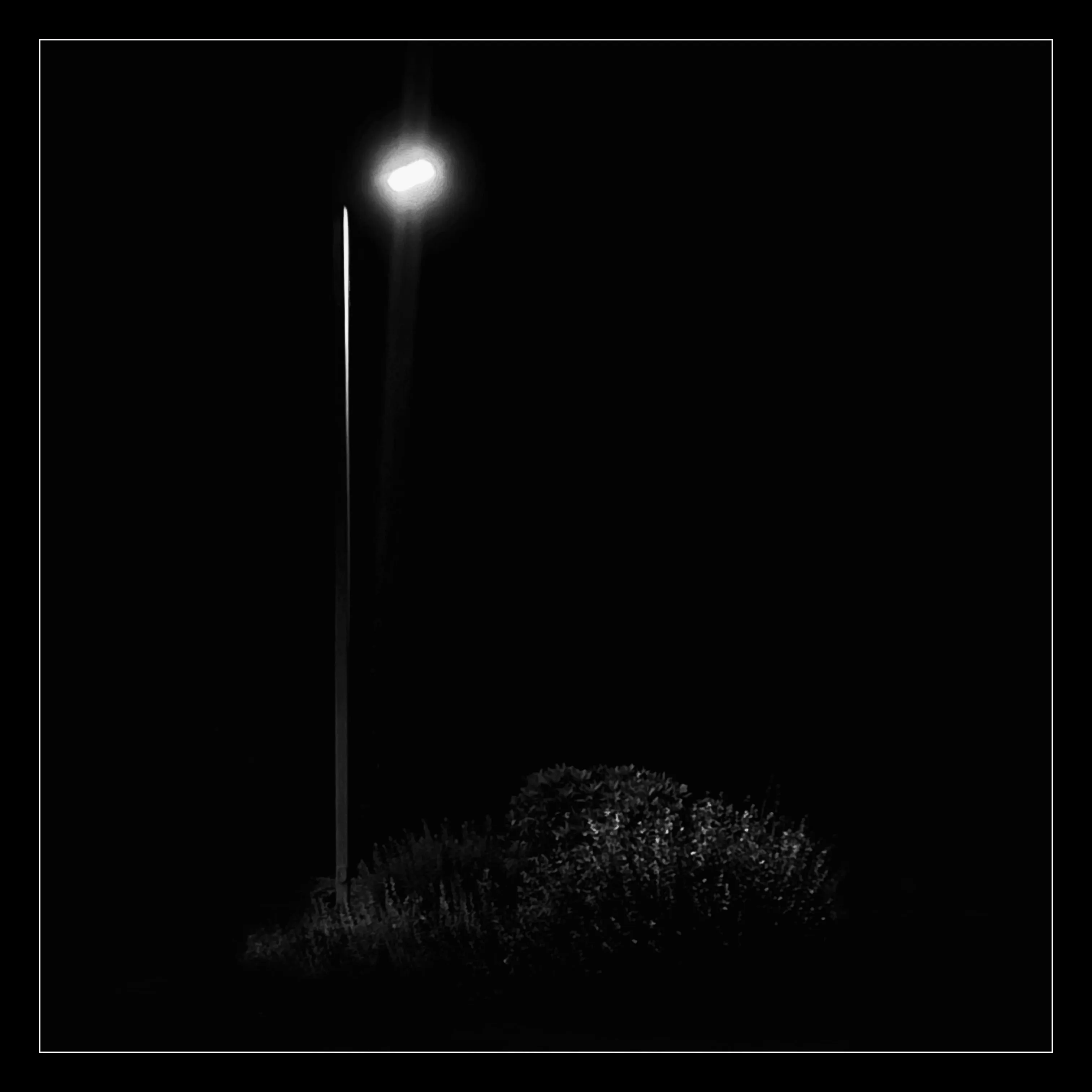 Stroll is a nightly diary of my late night walks through my neighborhood, explored through my iPhone.

We recently moved to a new place, which shone a light on how bad our old place actually was– an uninspiring location, hot, loud, and with inconsiderate neighbors. Moving to this new location has been a breath of fresh air not just for my mental health, but my creative spirit as well.

Every evening since we’ve been here I have gone on a late night stroll through the neighborhood and photographed the scenes that I see with my iPhone. The two block walk takes me through a forested path in a park, past a church, down the street, and back to our place. Putting in my ear buds and slowly meandering along the way has become one of my favorite things to do and has been a breath of fresh air for me, in more ways than the literal sense.

Most nights I walk solo. Some nights I walk with my son, bonding along the way as we both take photographs and talk about photography and life. This walk helps me to build familiarity and a sense of home that I haven’t felt for a long time. As I walk, I revisit the same trees, the same lampposts, and the same bushes, and I watch how they change from day to day. Once the cooler weather hits, I will see them transform drastically.

=== HUDSON ===  
Twice along my walks so far I have encountered a lost cat that I have named Hudson. He is one of the most loving cats that I’ve ever met and he follows me around the neighborhood, always demanding pets and love, and stretching out for them. He’s been a true light the nights that I see him and he feels like a friend. When he sees me, he runs over to me, rolls around on the ground for pets, and then walks with me, once all the way to our front door. I think that I have located his owners, and I’m in contact with them to help return him home to his lucky family.

As of this writing, I have seen Hudson twice and I now go out of my way when coming and going to see if I can bump into him again. All I know is that one day I will see Hudson for the last time.

But for now, I am so in love with him and the nights where I see him we spend significant amounts of time together and my night is made so much better with his company.

=== THE PHOTOS ===  
Be forewarned, these photos have only ever been jpegs and they are not technically perfect. That’s not what these photos are about. They are about how I am building intimate familiarity with a fresh breath of life.

 • I never photograph people and I never photograph residences. Only anonymous scenes during my two block walk and the courtyard of the nearby church.

• Some nights will have no photo due to travel or other circumstances. Some nights will have one photo. Some nights will have more than one. 

• Aside from the first drop, I mint these the night that I take them. The easiest way to keep up to date with this drop is to follow me on social media, where I will also be posting these nightly, or subscribe to my wallet on Deca and/or Manifold.  
     • https://twitter.com/tjthorne_photo  
     • https://www.instagram.com/tjthorne_photography  
     • https://www.threads.net/@tjthorne_photography  
     • https://deca.art/TJThorne  
     • 0x6C0040BdA93e4Cf433c0aa8498bD624397aECe30, 
     • tjthorne.eth

• On the days I see Hudson, those photos will have a property noting that. Only a few photos will have this property.

• Some photos have been taken by my son. These photos are noted in the properties and 100% of any sale will go to a wallet that I am setting up for him as the beginning of his savings for his future.

I have so much work that I need to do, but right now this is the one creative outlet that I have in the sea of products, pricing, marketing, and more that comes with building a business. And it’s pure. I enjoy it. It excites me. And I want to share that with you.

Maybe one day I will tire of the walk. Or one day we might move. For whatever reason, there is an unknown time of conclusion of this series.

But for now, it’s filling me up.