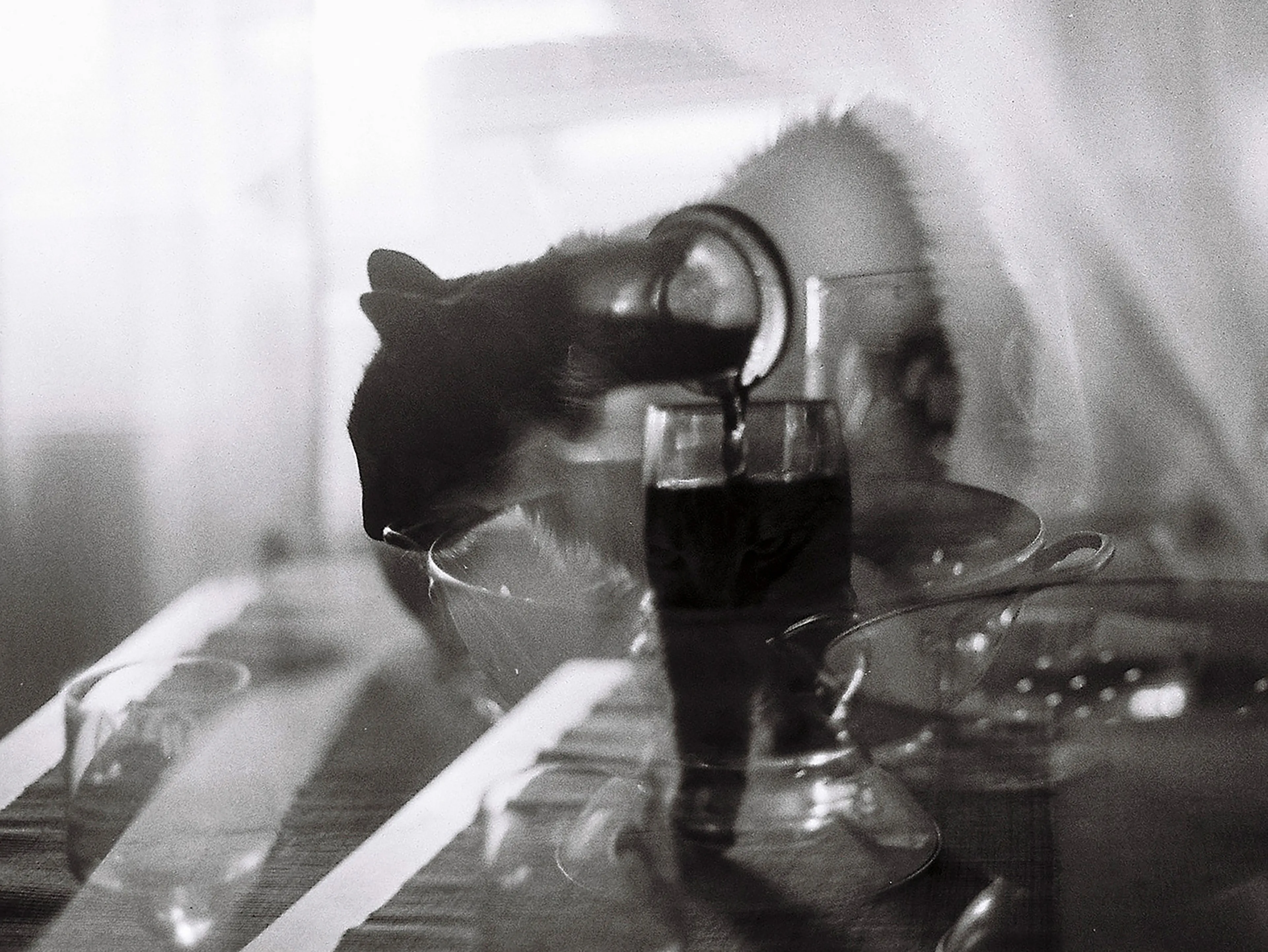 A cat bending into stillness in a perfect double exposure.

Fragments of a personal archive, yet they belong to something larger: the everyday poetry of existence.

Photographer: Aida Boldeanu
Supply: 1/1
Location: Madrid