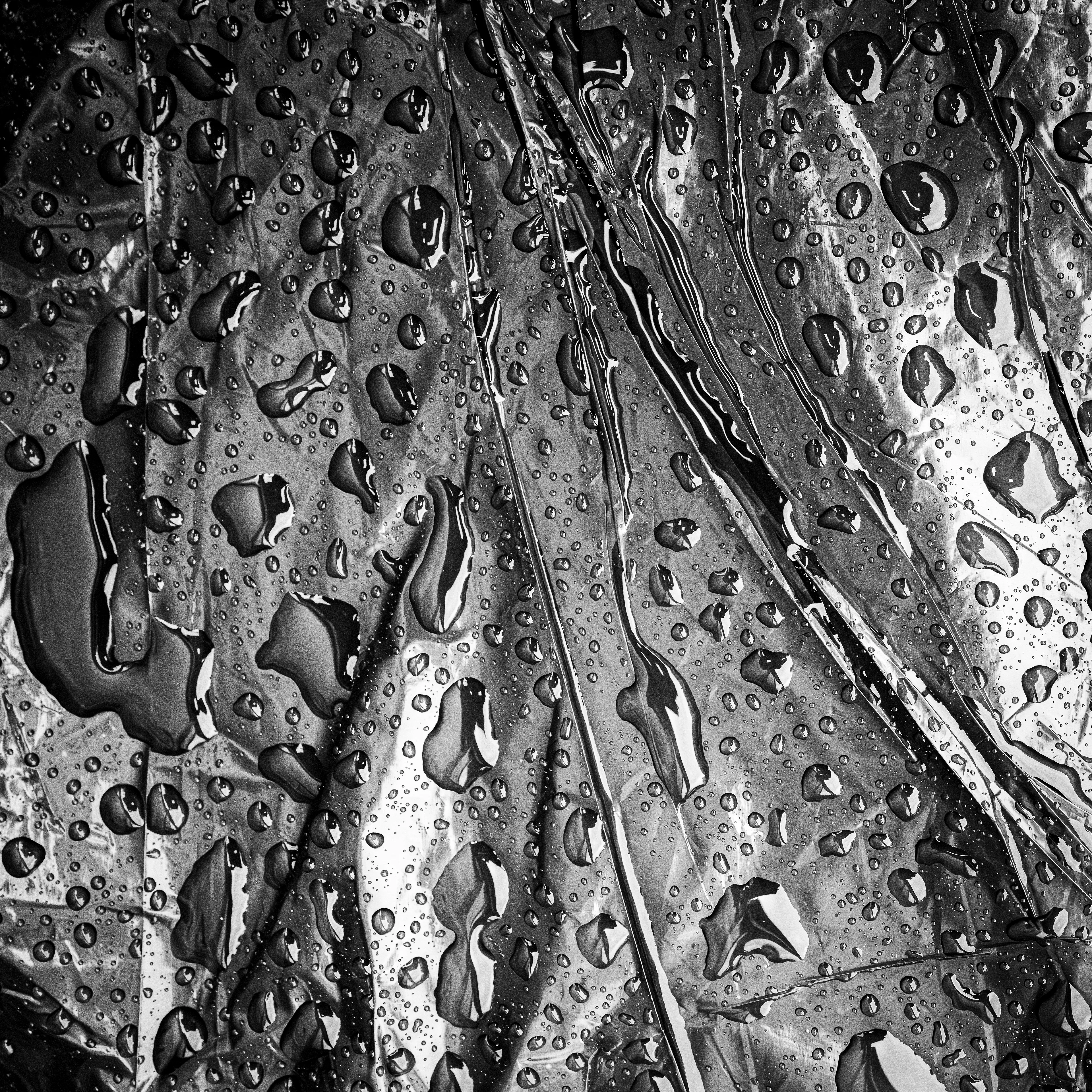 “Cachivaches” is a colloquial Spanish term for a mix of miscellaneous objects often considered worthless or junk. This series explores the aesthetic and structural dynamics of discarded objects, focusing on the paradox between chaos and order. The square format imposes a geometric constraint, juxtaposing organic disorder with rigid frames, encouraging a reevaluation of inherent organization. By highlighting spontaneous patterns in the disordered, "Cachivaches" reveals the latent beauty in the mundane.