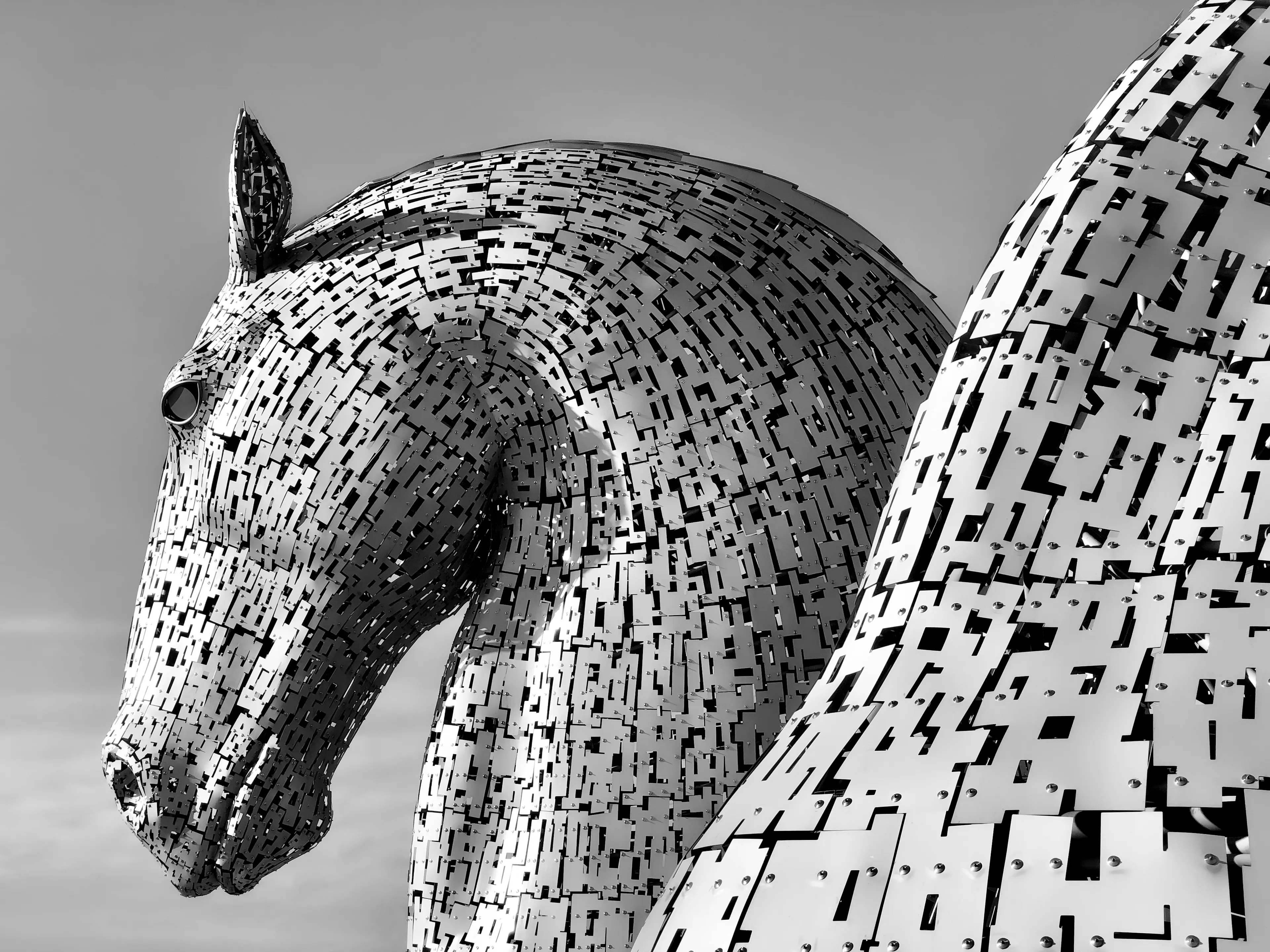Horses are majestic animals, full of energy and vitality. When I look at them I have the feeling that we can achieve anything. I wanted to pay homage to them, to remind us we have the power.

Artist: IKERTJE // Edition type: 1/1

Web: https://linktr.ee/IKERTJE