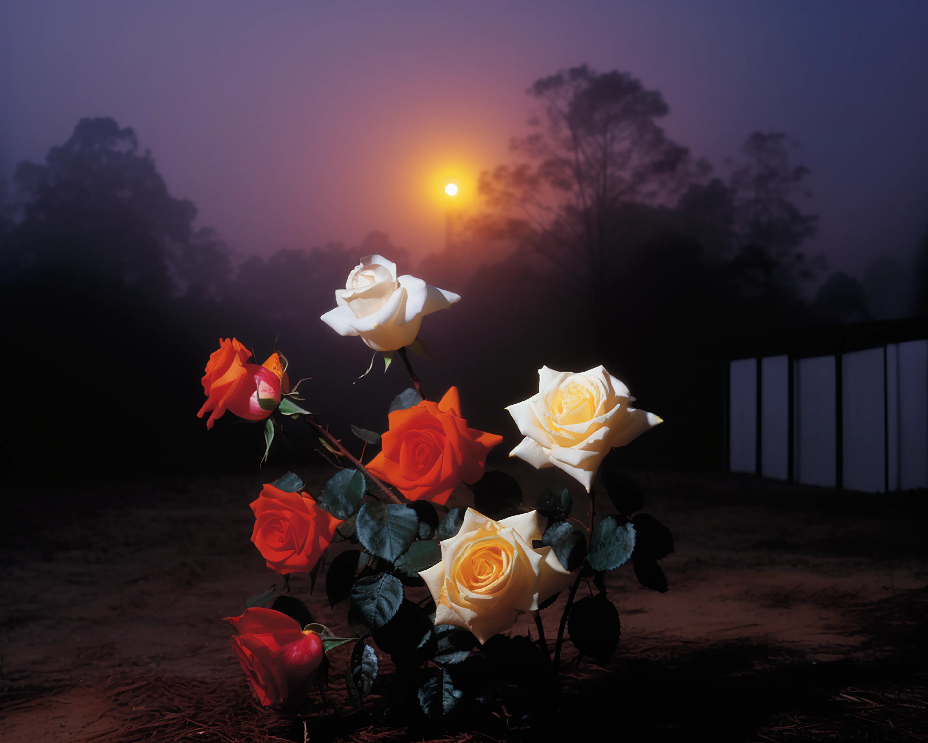Songs of summers past