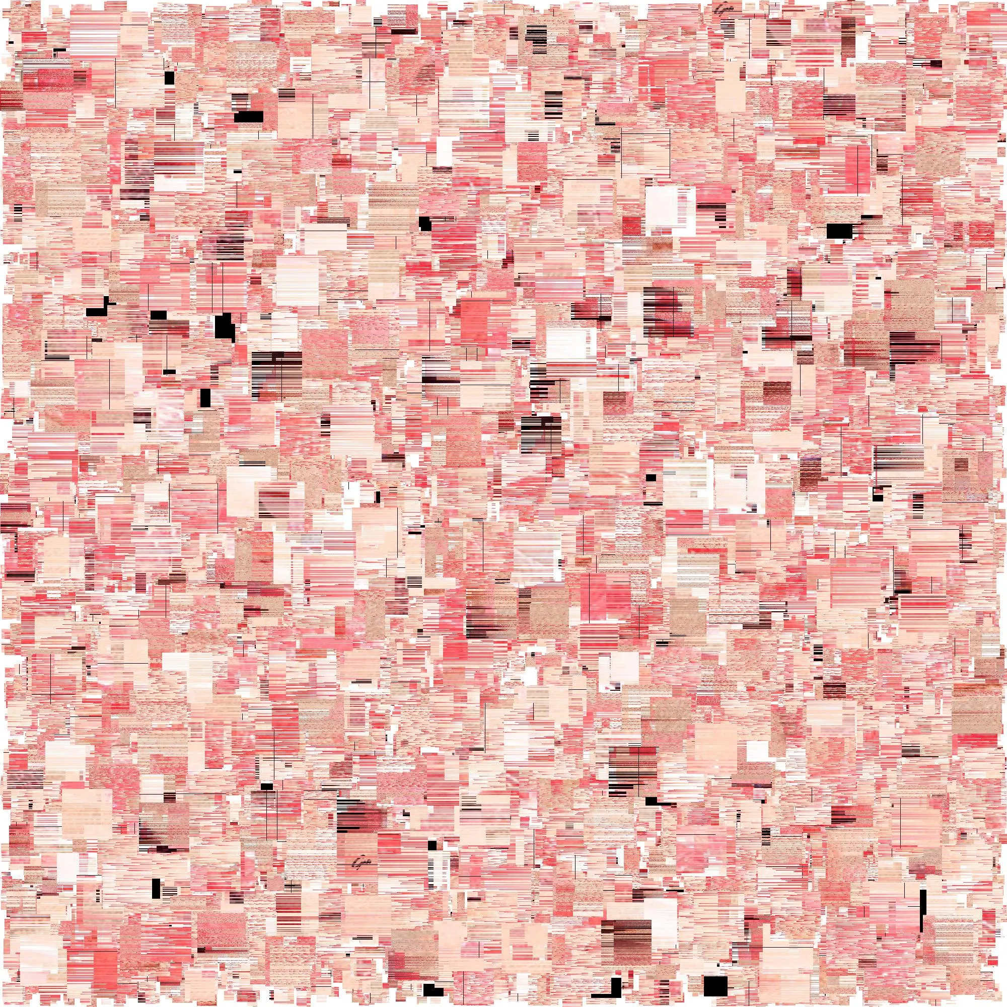 A procedural and algorithmic collection that uses existing photos in the Editions x Guido collection as a canvas to generate new and impactful imagery. The purpose of this collection is to use generative code to reimagine the relationship between photography and humans and the transmission of data between them.