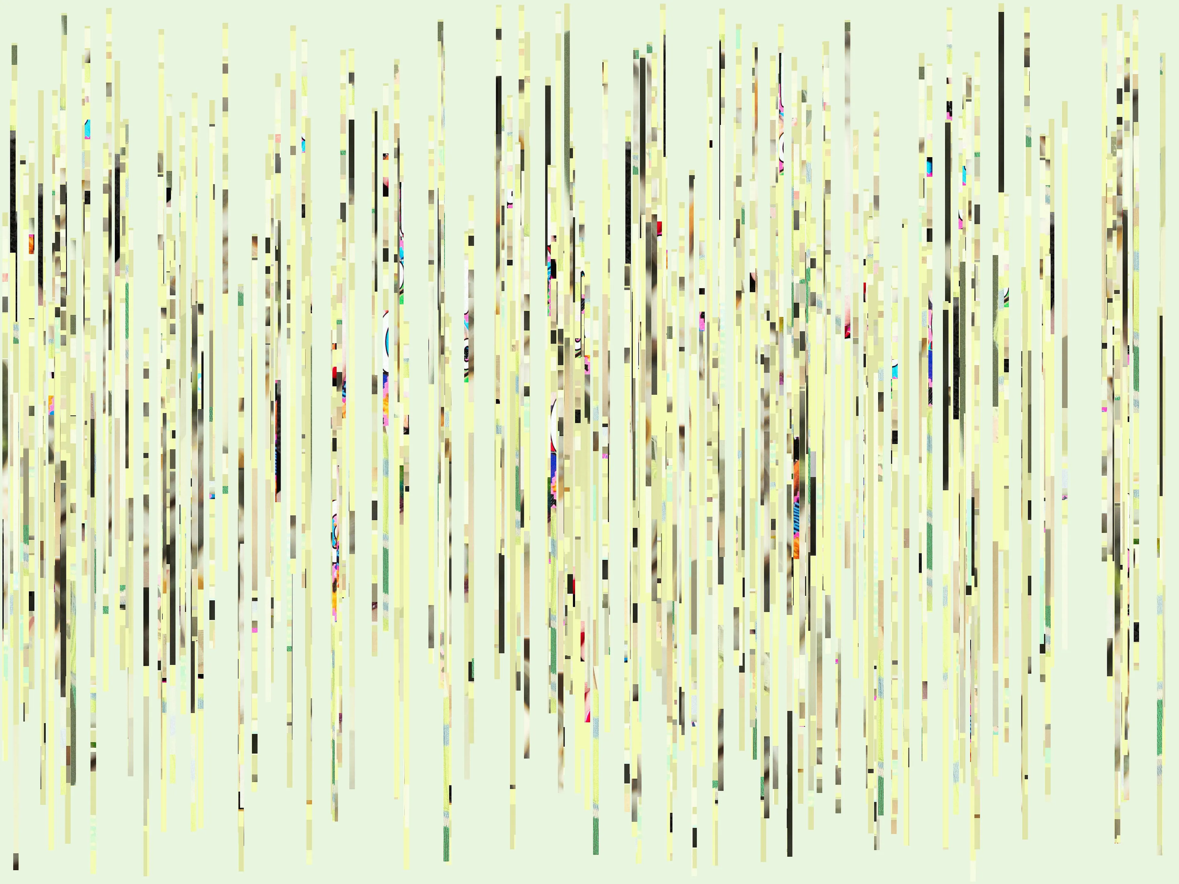 A procedural and algorithmic collection that uses existing photos in the Editions x Guido collection as a canvas to generate new and impactful imagery. The purpose of this collection is to use generative code to reimagine the relationship between photography and humans and the transmission of data between them.