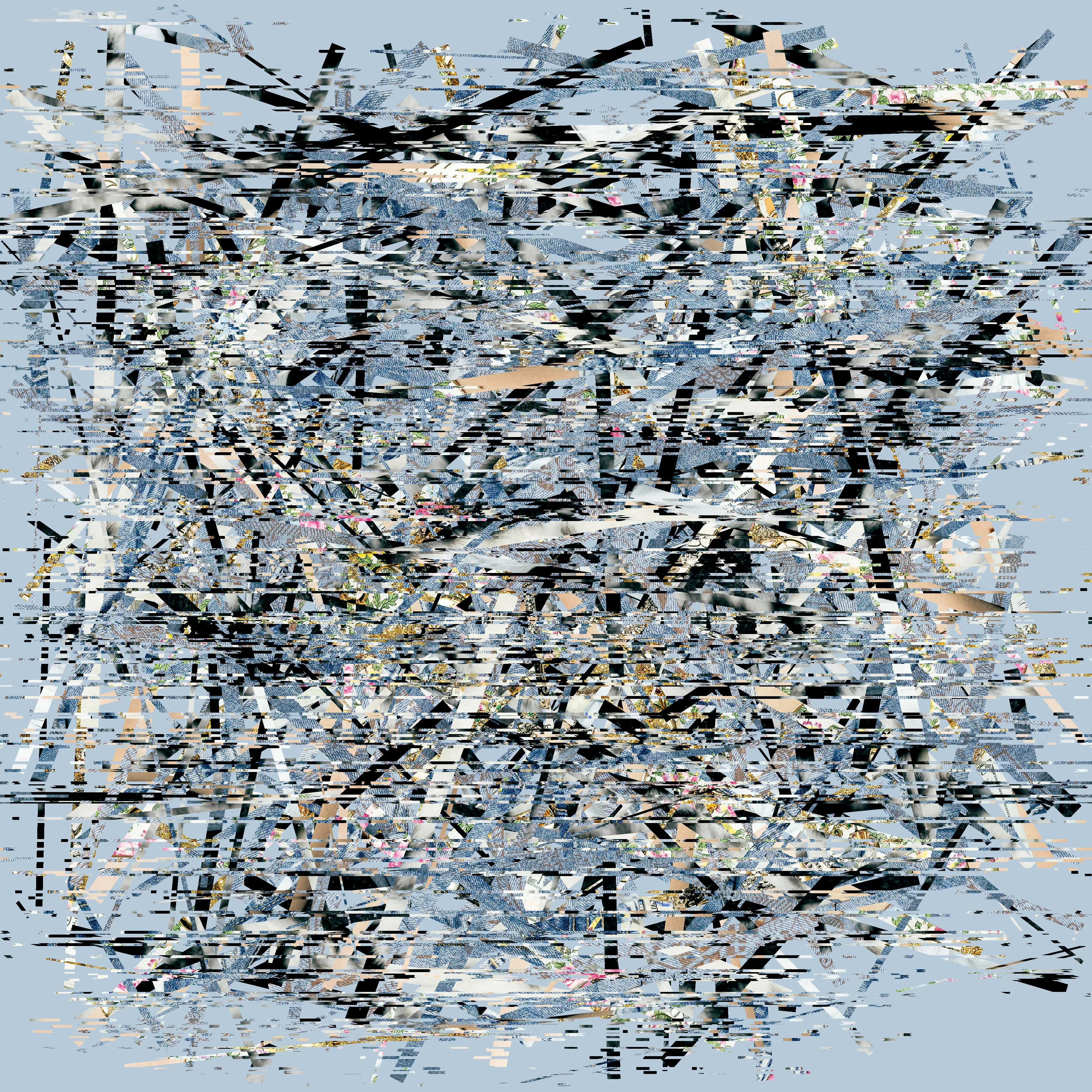 A procedural and algorithmic collection that uses existing photos in the Editions x Guido collection as a canvas to generate new and impactful imagery. The purpose of this collection is to use generative code to reimagine the relationship between photography and humans and the transmission of data between them.