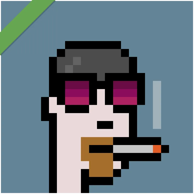 This Punk was wrapped using Wrapped Punks contract, accessible from https://wrappedpunks.com