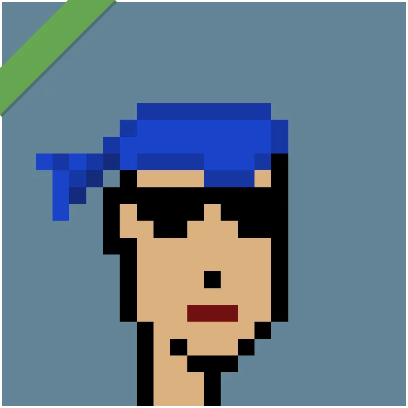 This Punk was wrapped using Wrapped Punks contract, accessible from https://wrappedpunks.com