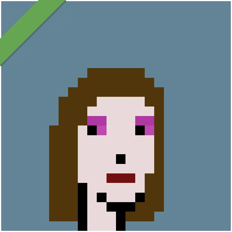 This Punk was wrapped using Wrapped Punks contract, accessible from https://wrappedpunks.com