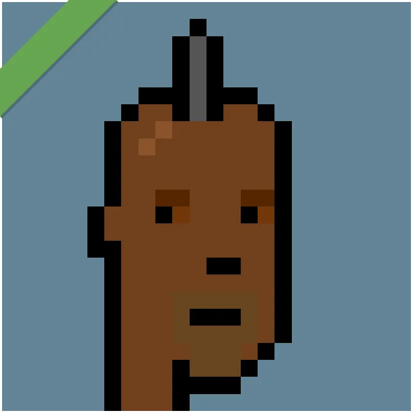 This Punk was wrapped using Wrapped Punks contract, accessible from https://wrappedpunks.com