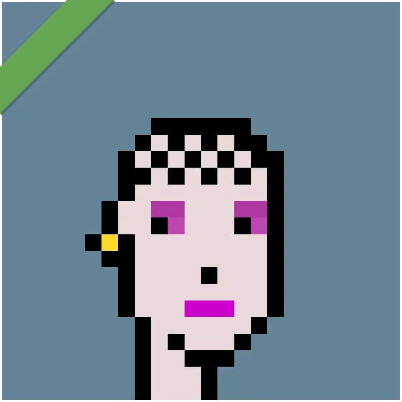 This Punk was wrapped using Wrapped Punks contract, accessible from https://wrappedpunks.com