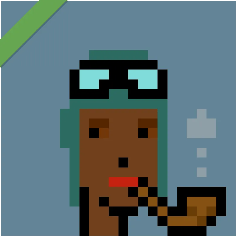 This Punk was wrapped using Wrapped Punks contract, accessible from https://wrappedpunks.com