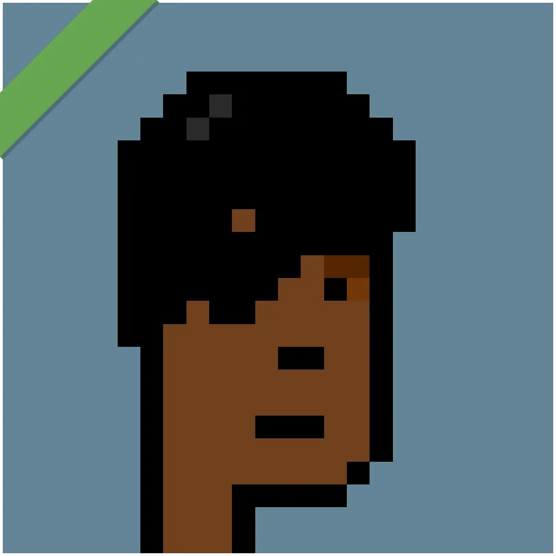 This Punk was wrapped using Wrapped Punks contract, accessible from https://wrappedpunks.com