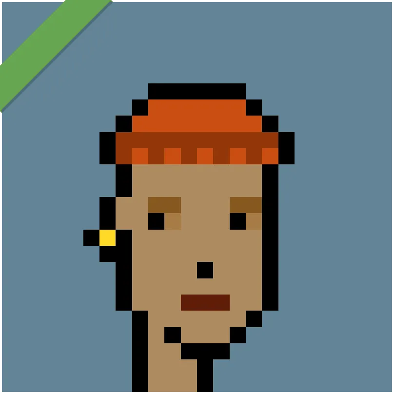 This Punk was wrapped using Wrapped Punks contract, accessible from https://wrappedpunks.com