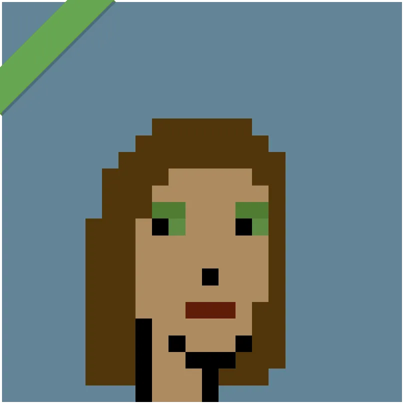 This Punk was wrapped using Wrapped Punks contract, accessible from https://wrappedpunks.com