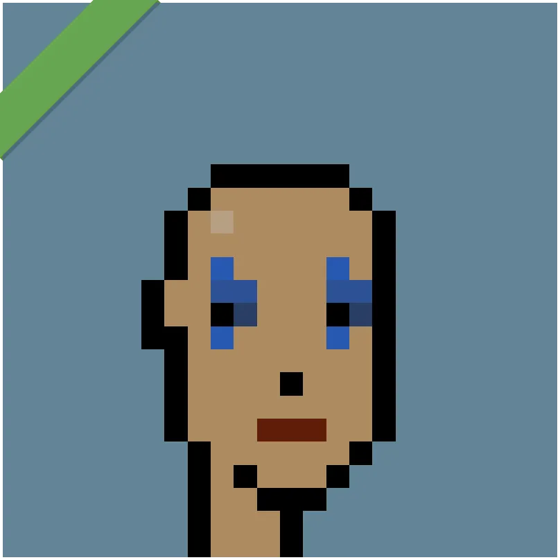 This Punk was wrapped using Wrapped Punks contract, accessible from https://wrappedpunks.com