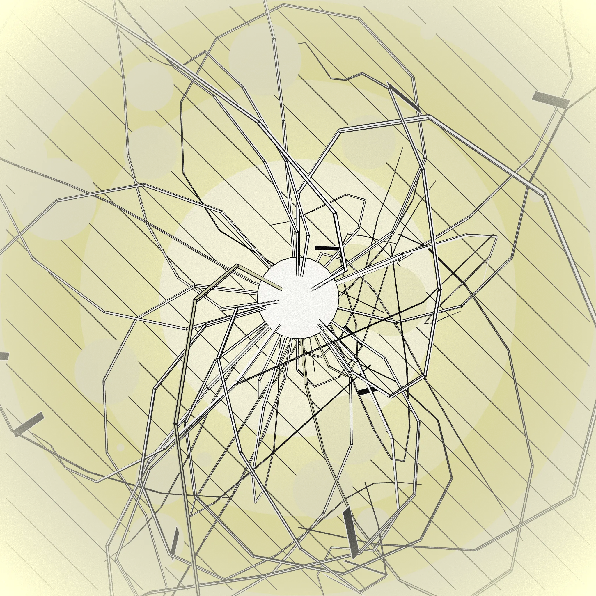 The other spider