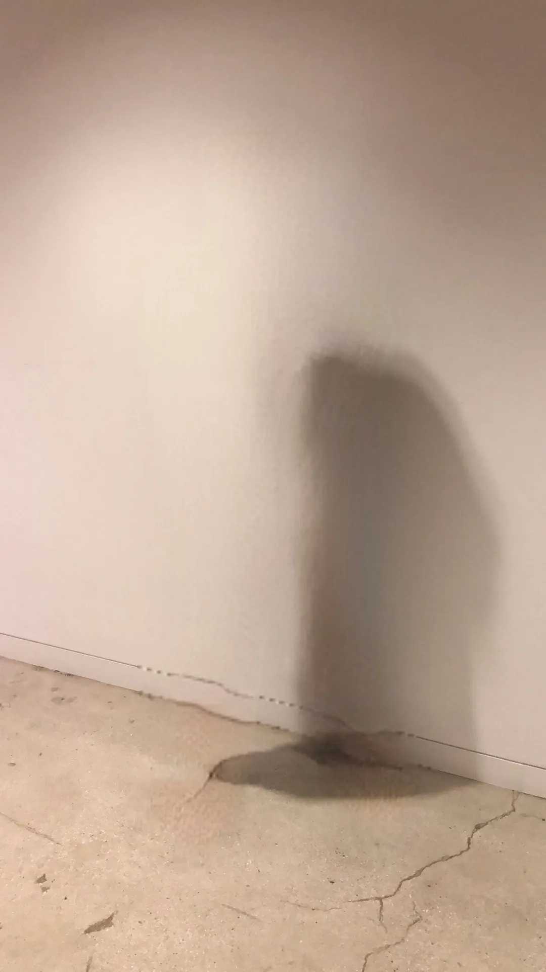 This is the first piece of the series 'Nude study' in which I record images with the Bye Bye Camera — an app I created. The mobile application uses neural networks to erase humans from pictures, but the camera maintains human traces. I compare these visual traces to surreal artifacts of a speculative scenario that is post-human.