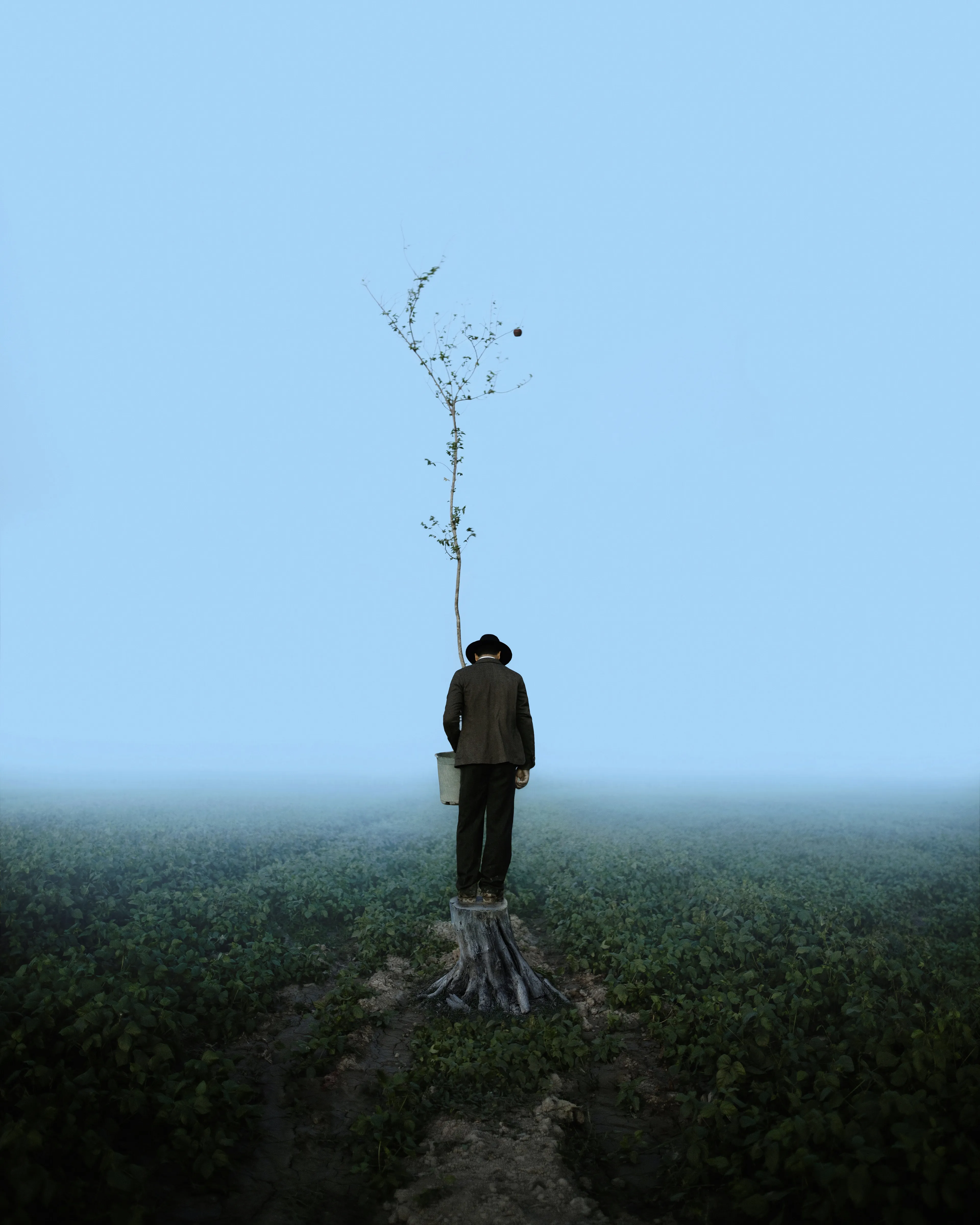 Although I have fallen on the ground in your faith
And my young branches are scarred by the blows of your axes...
What are you doing with my roots?!...
What do you do with the inevitable growth of saplings ?!...

Digital photography, Self-portrait (2022).