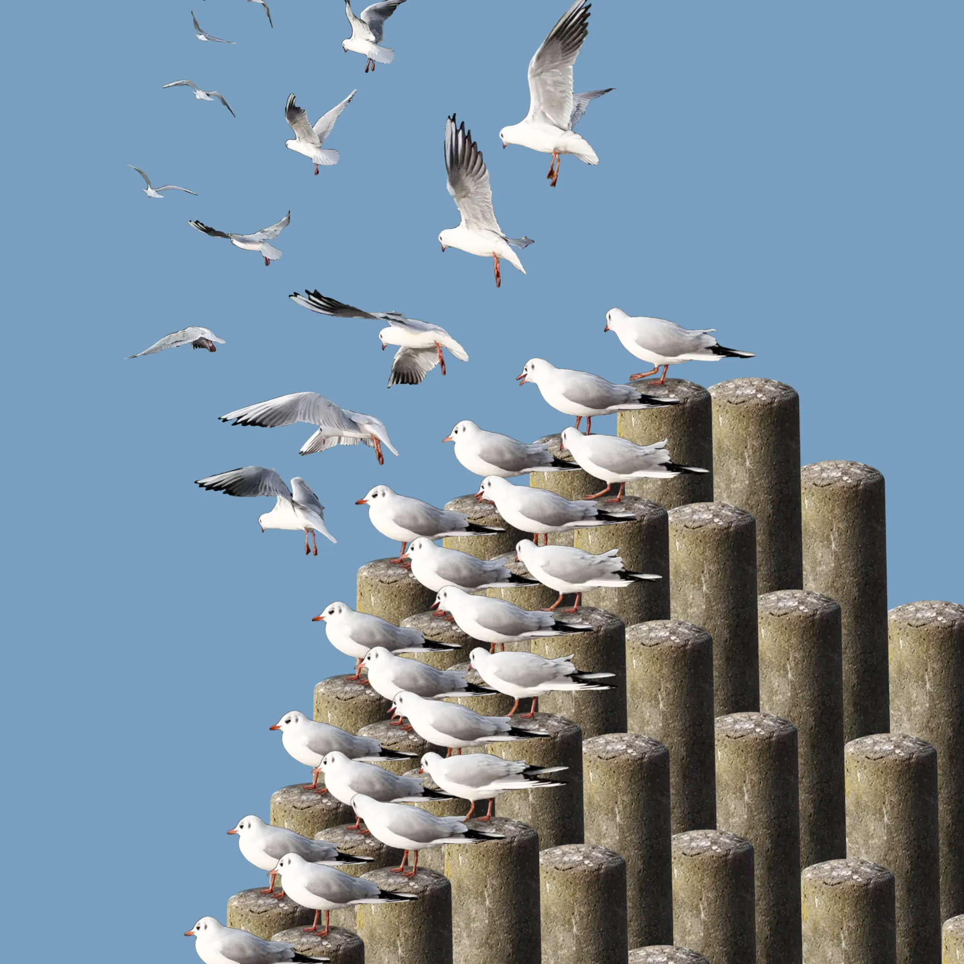 The work explores the intersection and the dialogue 
of real and digital environments. 

Loop: 28s / 1920 x 1920 pixels