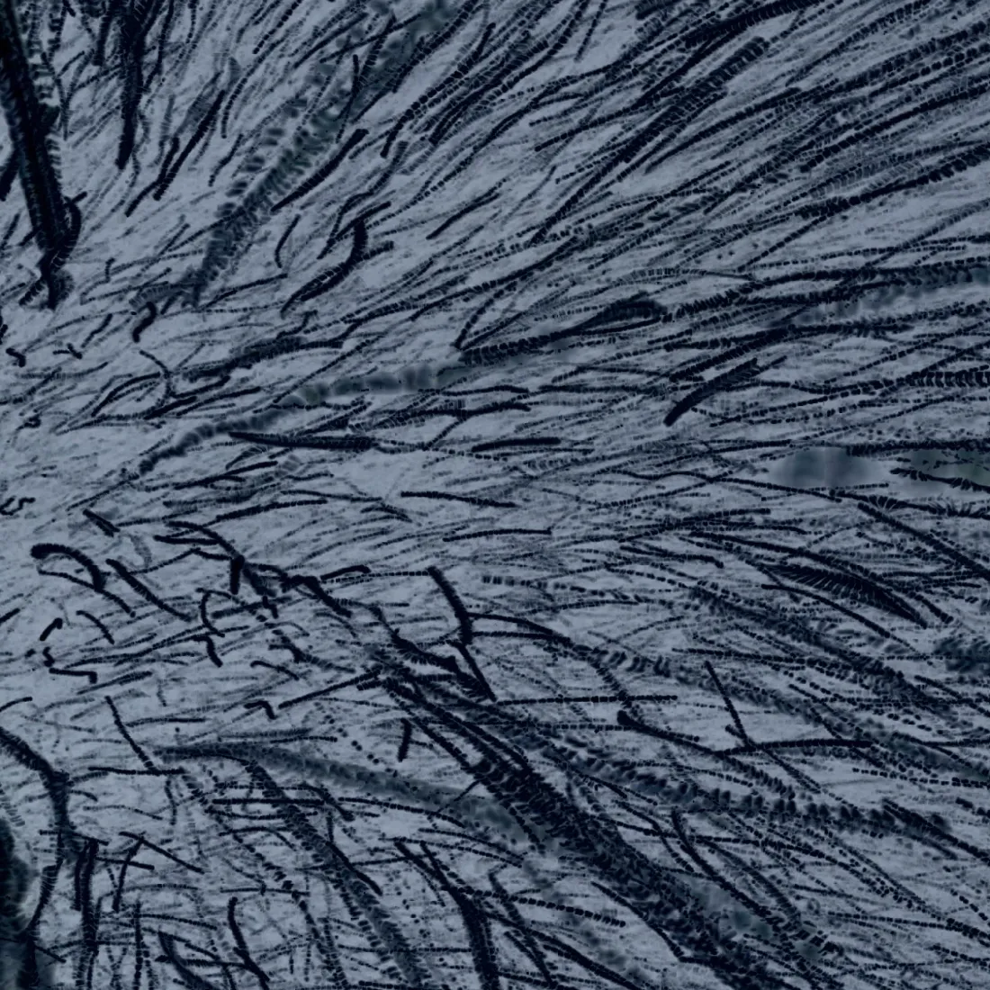 This work shows snowflakes which were filmed 
with a camera pointed towards the sky.    
  
Loop: 47s / 1100 x 1100 pixels  