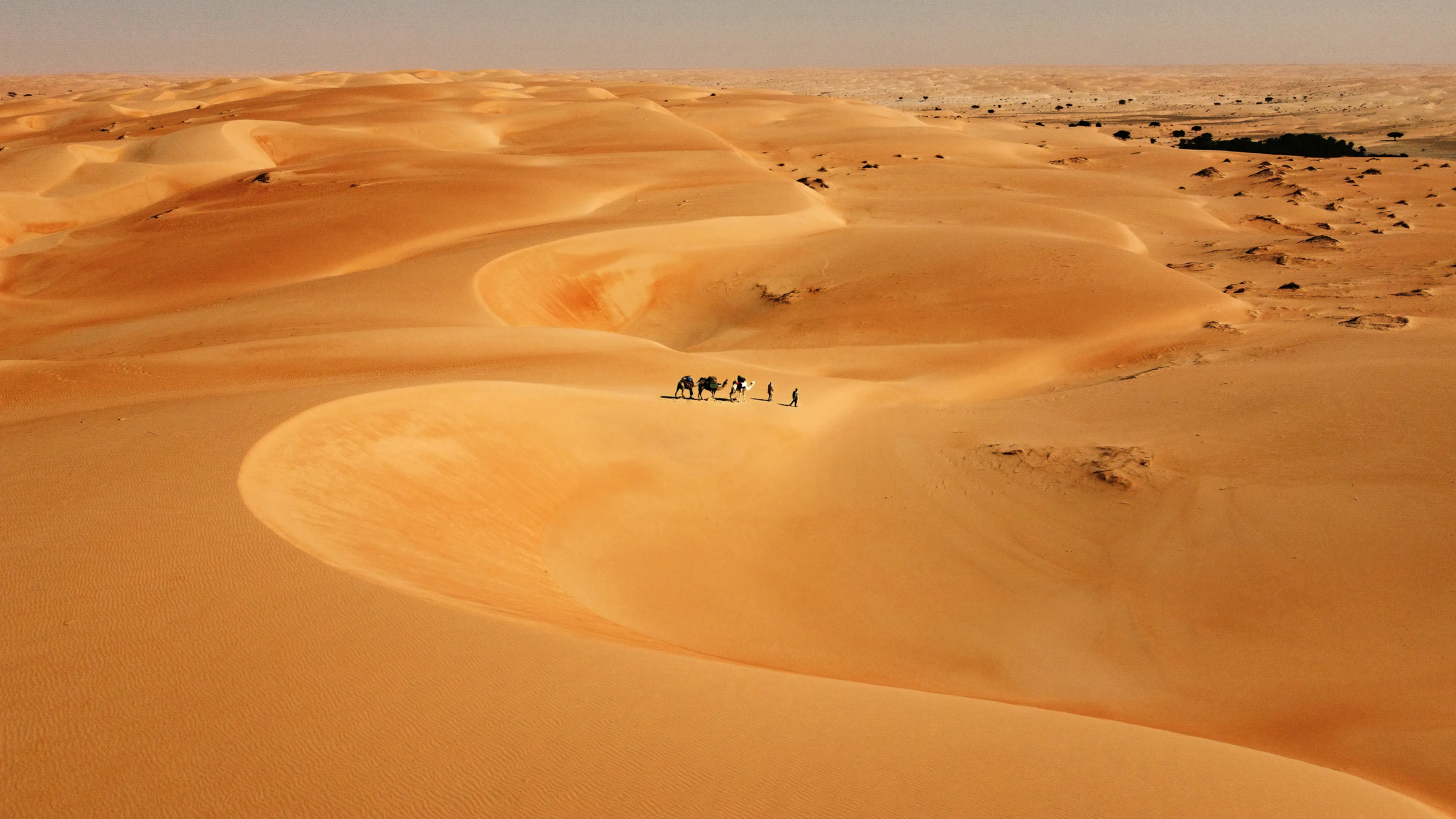 A slow pace and constant march crossing the desert dunes in the Sahara with our caravan of three camels and our chameliers. It was exactly how I imagined and visualized it back home. An extraordinary adventure. Twelve kilometres of walking under the scorching sun going up and down these towering sand hills. The silence, the looks and the simple smiles accompanied us until we arrived at this elevated point from which a depression extends between the dunes, a dry area, probably an ancient basin of water. In the middle a large palm grove appeared, almost like a mirage, the Oasis de La Gueila. The oasis represents life, and the possibility of finding food as well as water. Before descending we stopped to admire the sinuosity and elegance of these desert curves, the beauty of nature in its simplicity. Small, in the immensity of the desert we let ourselves go into its greatness where we carry only our shadows, a reflection of our souls.