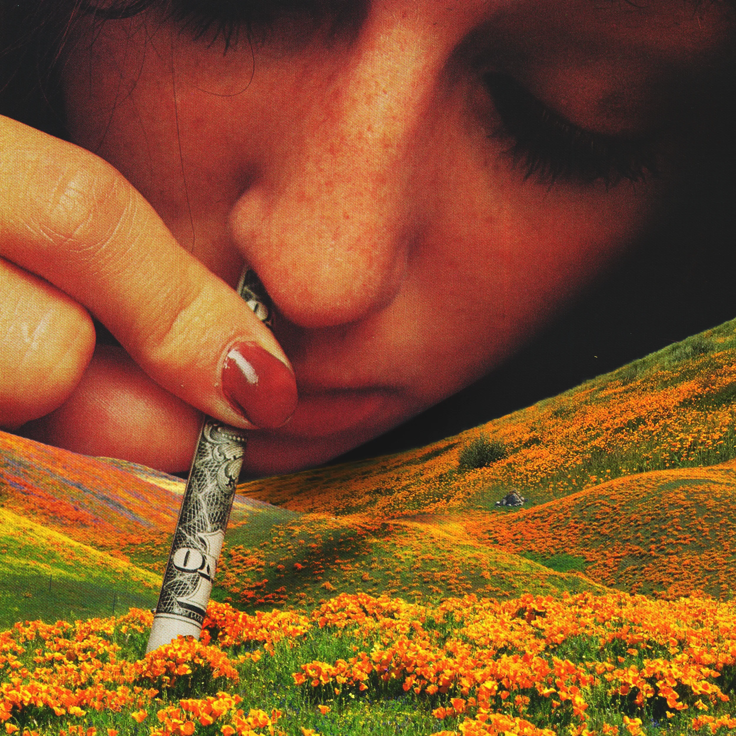 I found myself in a local comic shop sifting through some dusty magazines. I was 2 months into a massive creative block and struggling to come up with new ideas. In these times, it becomes an arduous task to create. I remember contemplating whether my ability to drum up ideas for a new artwork was lost for good. After hours of searching , my girlfriend pulled out a magazine from 1976 and it's title, "Getting High in The Pentagon", immediately struck me. Inside, I found an image that made me feel alive again, something I could immediately use in a new collage. As I find myself in one of these long lasting creative blocks today, this image could not be more pertinent. This is a reminder that creativity is a fleeting moment and something that cannot be rushed or forced. I have always had a strong connection to this image and as an artists its one I always come back to and can say I am truly proud of. 