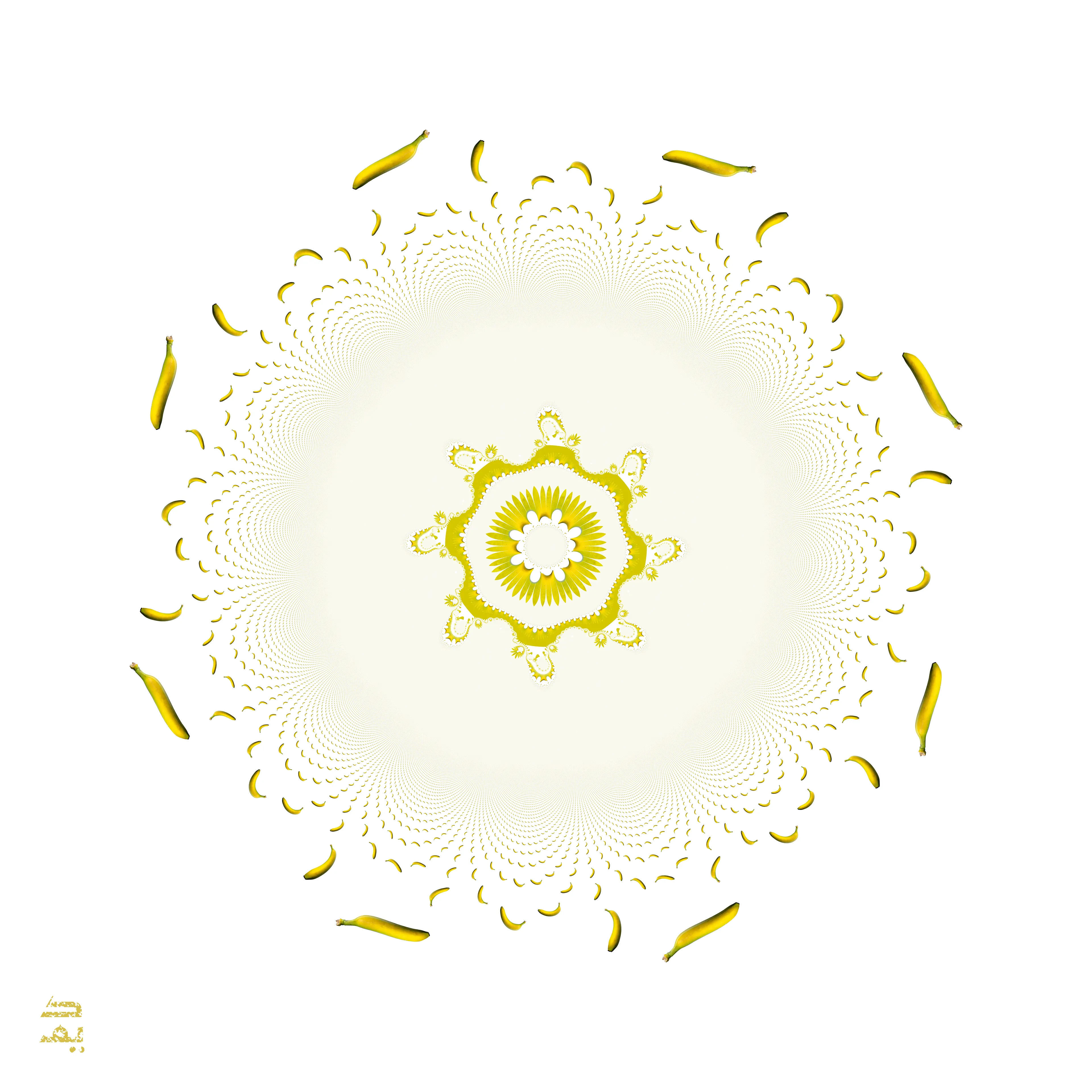 A curiously coloured radiolarian surrounded by a particle cloud of that most artful of fruits: the noble banana! In a world where $120,000 is the cost of a single specimen, this elegant cryptoart piece is an undeniable trillion dollar manadala with bananas all the way down.

The exotic biomorph, a timeless mathematical entity, in this apeirographic digital original is given substance through the textural use of a CC0 licensed photograph by Moritz Kindler.

Part of a series of two with "The Miami Temptation of David (2019)" also on SuperRare.co.