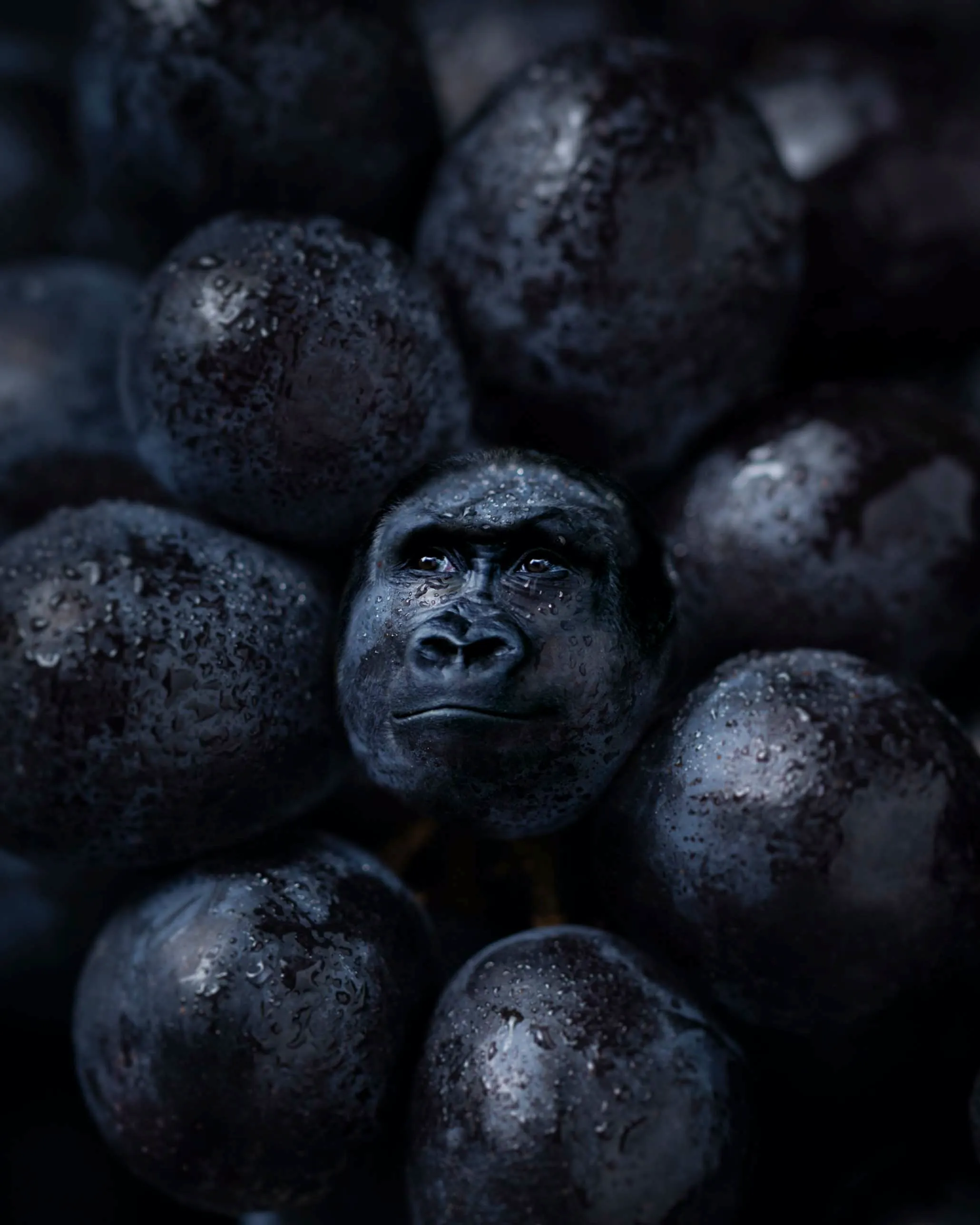 GR-APE, the untold story of evolution. From the Hybrid Series.