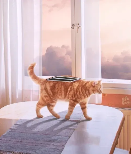 When the cat meets a toaster, isn't this convenient? From the Hybrid Series.