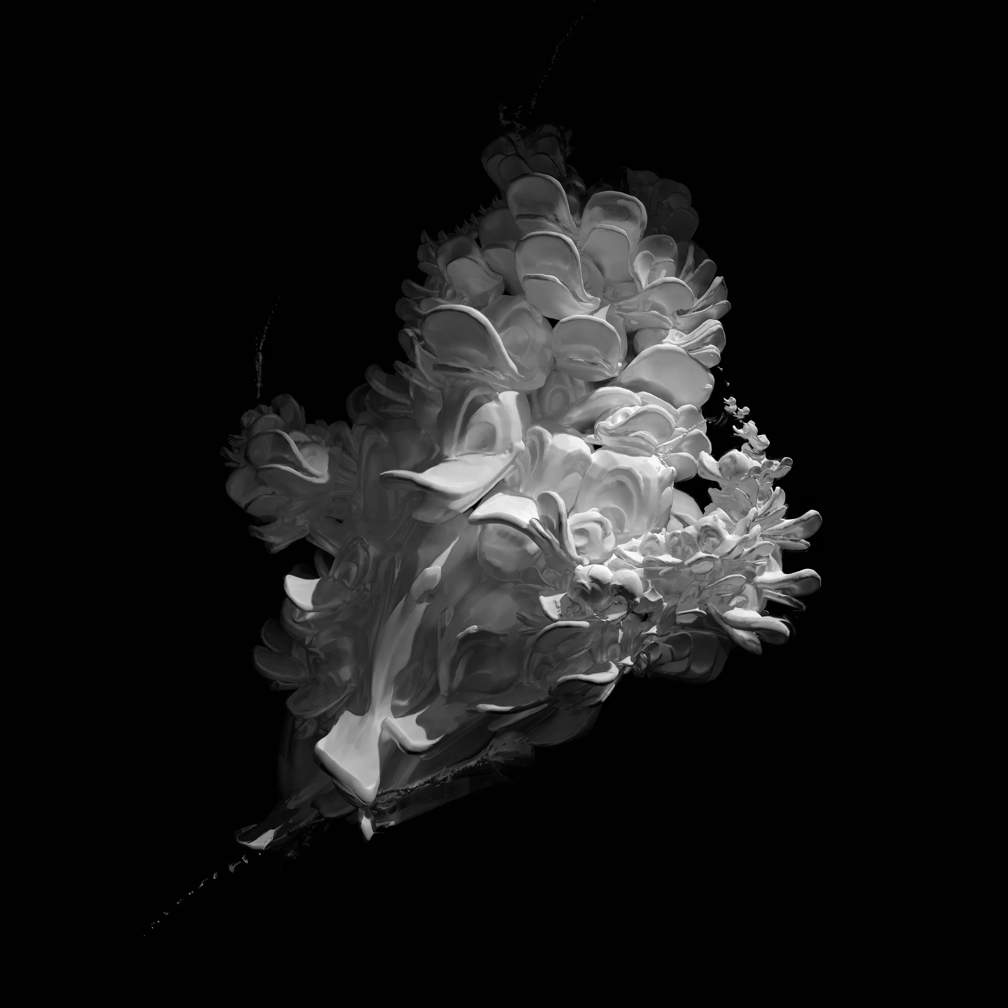 A bouquet of polymorphic ducks