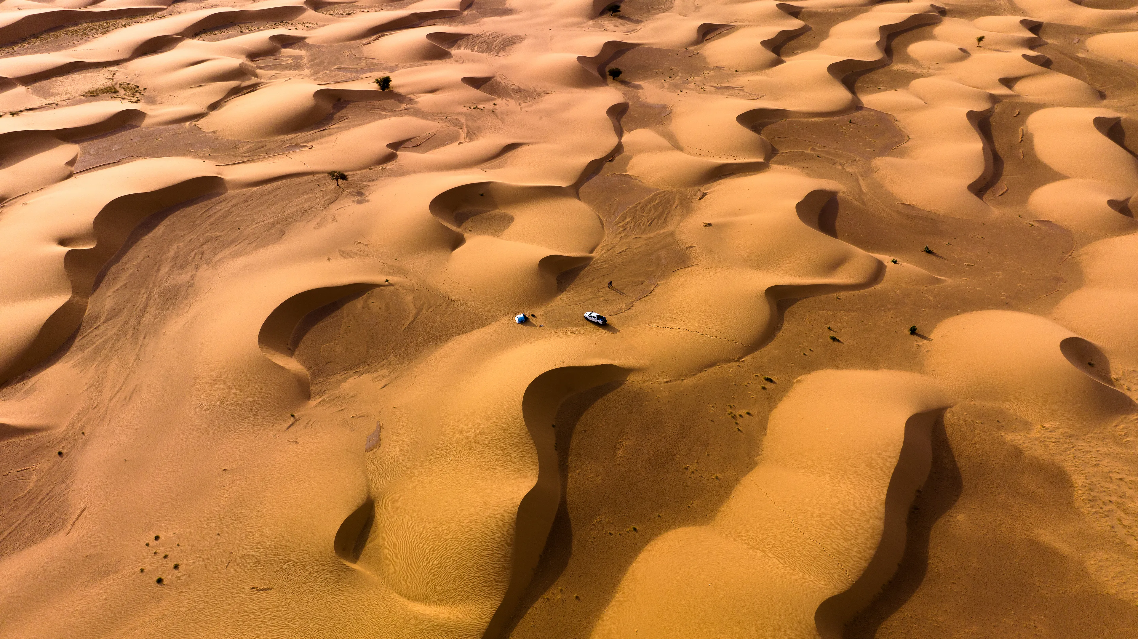 The apparent calm. After two long days driving entirely in the desert straight from the capital, following old tracks cut through by vehicles that sometimes passed, we arrived in this place so unique and beautiful. Soft and sinuous waves of dunes alternate with stretches of flat ground. Everything seemed perfect. Not a breath of wind, which is usual in the Sahara. Time to set up camp and organise dinner. The sun was now setting, temperatures were dropping drastically, it wasn't cold, but the sand no longer retained heat, and a light breeze heralded the unexpected. Almost as if we were surrounded or attacked, perhaps drawn by the light or maybe by the water, some alien-looking insects resembling spiders began to appear from all sides. On our vehicle and then on the tent. Spiders of sizes never seen before, semi-transparent, running strangely very fast. We didn't know what they were or if they were dangerous. It became a nightmare of a night in seconds, fearing they might enter the tent or appear under our feet while we were eating. They were Camel Spiders, but we didn't know that yet. That night was restless, filled with apprehension. The next day we hastily ventured further into the desert, leaving the unsettling encounter with those swift, unfamiliar creatures as a vivid memory etched in the sand.