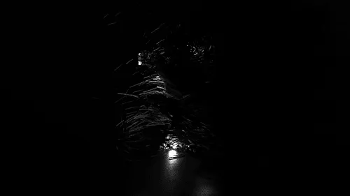 Inspired by the e.e.cummings poem Somewhere I have Never Travelled, music, dance and AI powered procedural techniques reveal the remnants of what is left behind – moments which travel through the darkness, punctuating space and time, to leave us altered.

Music by Logan Nelson, performed by Eric Byers from the Calder Quartet.

Choreography and performance by Charlotte Edmonds.

Computational art by Brendan Dawes. 

Winning bid will receive a 4K UHD version of the work.
