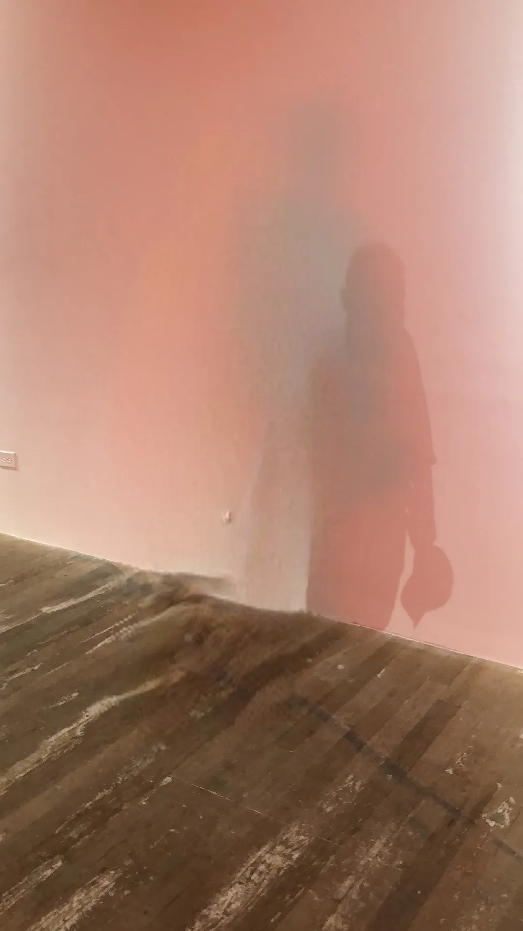 In Nude study 17, Damjanski explores possible futures in a world deprived of people yet bearing the weight of a past civilisation. Using his Bye Bye Camera application as an artistic tool, he observes his surroundings while erasing people's presence. But beyond appearances, people are neither here nor gone. The artist's presence is tangible as he acts for capturing these augmented photographs. Likewise, the AI tool detects body shapes but keeps human traces like the shadows. He compares these visual traces to surreal artifacts of a speculative scenario that is post-human. The result is a digitally-enhanced reality where humans stand at the verge of presence and absence, somewhere between the physical and the immaterial.
Serena Tabacchi, Co-founder and Director at MoCDA and Marie Chatel, Curator at MoCDA.