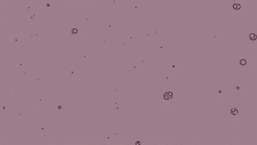 Bacteriums infiltrating thought, breathing in and out of existence.