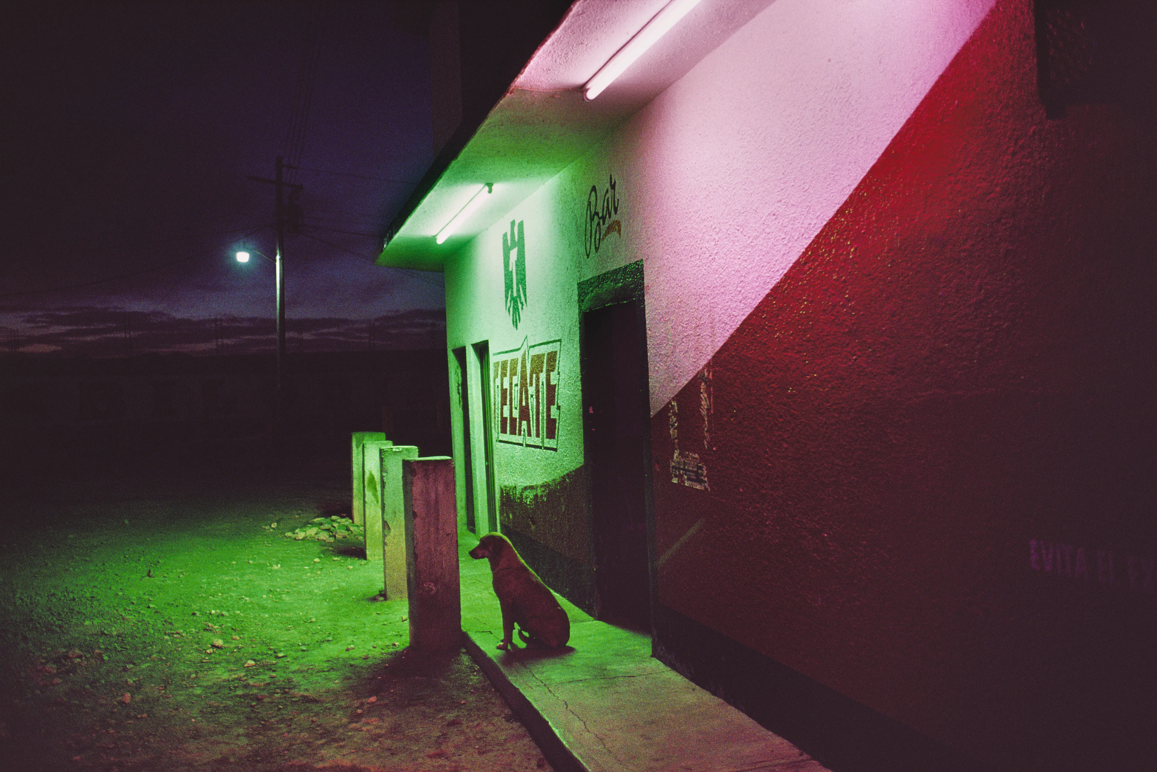 From his first visit in 1975, he was immediately captivated by the vibrant life in the streets of Mexico. While his early black and white photos often feature stark, striking graphics, his foray into color photography starting in 1978—inspired by the light and color of the Mexican streets—marks a turning point in his work.

Throughout his work from Mexico, his rich compositions create compelling visual complexity—‘La Calle’ features strong, saturated colors, which evoke haunting, enigmatic scenes of the everyday. “I work extremely intuitively. I wander, I respond,” he says. “Am I aware of certain elements rationally at times? Sure. But I think that often when I am more aware of them, it usually means that the picture falls flat.”

Webb somehow manages to capture these surprising scenes, which add an otherworldly poetry to the genre of street photography.