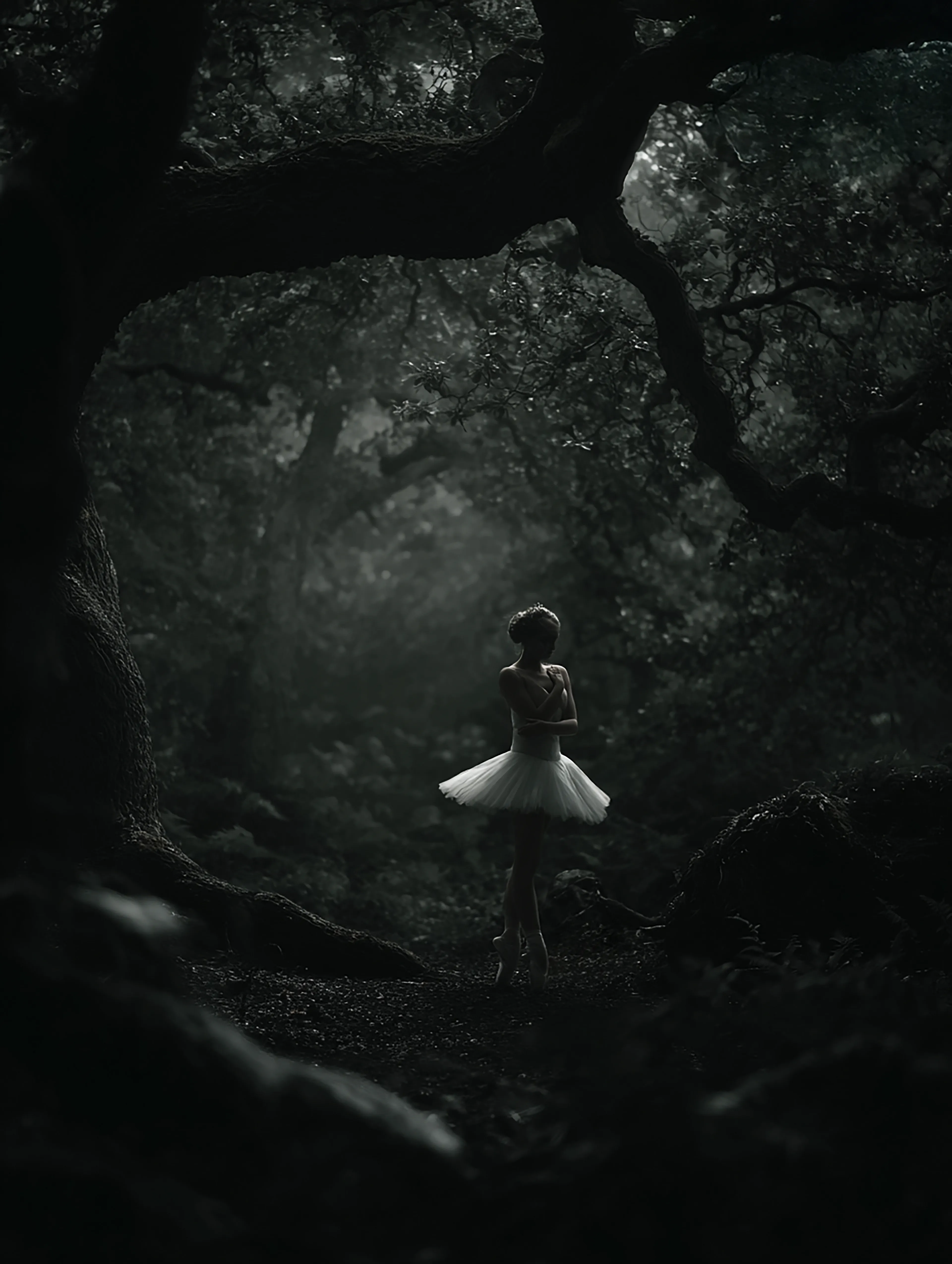 The ballet of shadows.