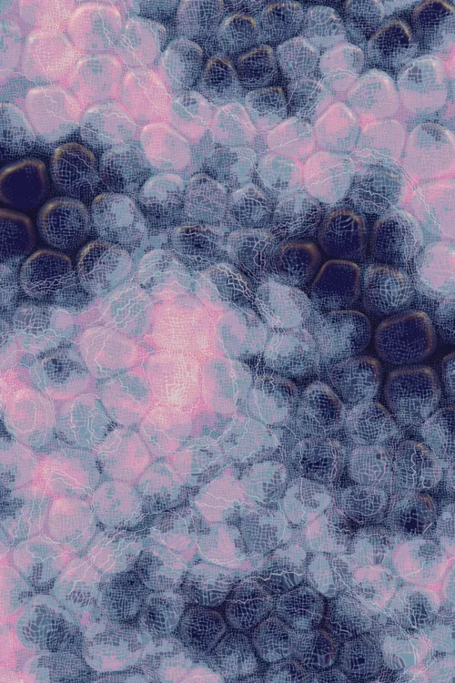 <p>Charlotte Dann’s “Vitreous” draws mysterious scenes of celestial arrangements and atomic bonds. Inspired by the artist’s fused glass practice, the background is layered with amorphous transparent forms that distort and magnify the art underneath, highlighting the abstract networks and connections that blur together upon first sight. In isolation, glass as a material is simple and transparent, but when used as a lens its most magical and unique property is revealed: the warping of perception. The new realities these distortions create are no less authentic than those absent of their effect – validating their alternate perspectives as an expansion of how we see our inner truth.</p>