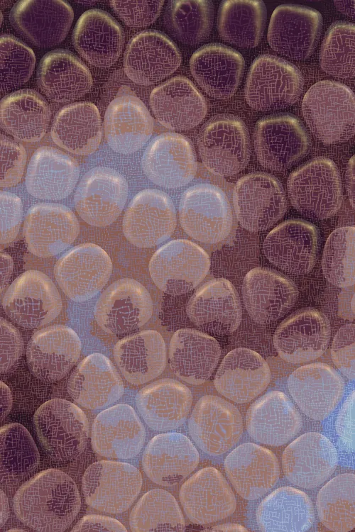 <p>Charlotte Dann’s “Vitreous” draws mysterious scenes of celestial arrangements and atomic bonds. Inspired by the artist’s fused glass practice, the background is layered with amorphous transparent forms that distort and magnify the art underneath, highlighting the abstract networks and connections that blur together upon first sight. In isolation, glass as a material is simple and transparent, but when used as a lens its most magical and unique property is revealed: the warping of perception. The new realities these distortions create are no less authentic than those absent of their effect – validating their alternate perspectives as an expansion of how we see our inner truth.</p>