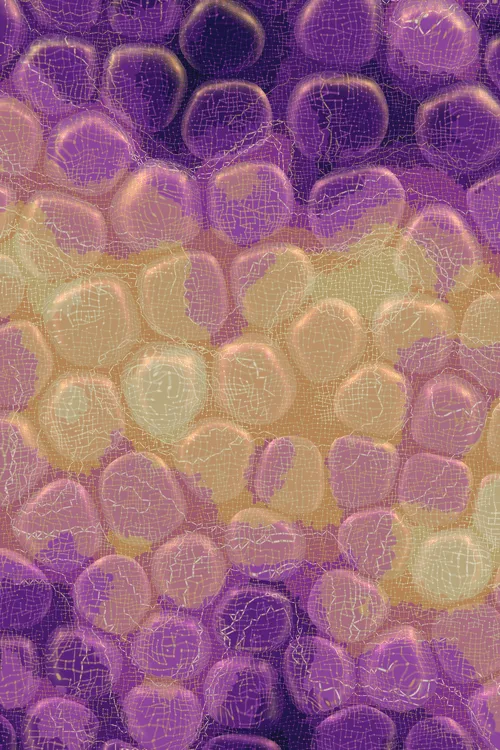 <p>Charlotte Dann’s “Vitreous” draws mysterious scenes of celestial arrangements and atomic bonds. Inspired by the artist’s fused glass practice, the background is layered with amorphous transparent forms that distort and magnify the art underneath, highlighting the abstract networks and connections that blur together upon first sight. In isolation, glass as a material is simple and transparent, but when used as a lens its most magical and unique property is revealed: the warping of perception. The new realities these distortions create are no less authentic than those absent of their effect – validating their alternate perspectives as an expansion of how we see our inner truth.</p>