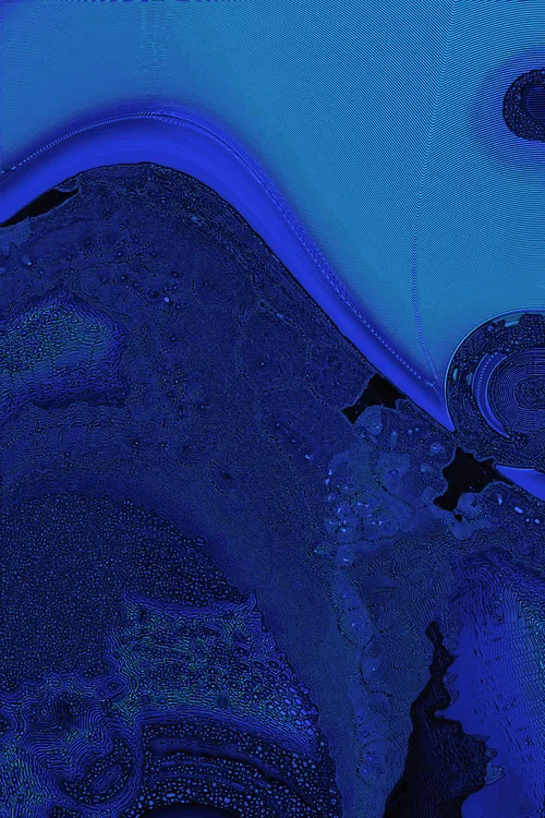 <p>David Seven’s “Dactylogram” emerges from the romantic ambition to embody the intricate essence of nature. In our relentless pursuit of equilibrium, beauty, and enlightenment, nature represents the idyllic state of these qualities. Nature silently catalyzes the mind, leading us toward moments of profound reflection, realization, and the occasional reset required to reach a state of harmony.</p>
<p>“Dactylogram” is a lens focusing on these very moments, capturing them as if an omnipresent camera gracefully traverses the vast expanses of our universe – from cosmos to microcosm to inner cosmos. Through a mesmerizing interplay of perspectives, textures, and the harmonious unification of elements, it gently beckons us to recognize a fundamental truth: the intricate interconnectedness of all aspects of nature, including ourselves. </p>
<p>It can be said that the deepest truth lies enshrined in the objective, constant forces that sculpt the universe. Unswayed by bias, immune to denial, they exist in a state of deterministic elegance that remains under influence from the chaotic dance of cosmic happenstance. It is precisely within the contradictions of this paradigm that we find the true essence of beauty and a poignant reminder of the uncontrollable balance of existence – the truth of nature. “Dactylogram” is simply a reminder of this truth, capturing a fleeting moment whose humble truth is proven by its creation – just as profound as the most enduring natural phenomena, and a testament to the enigmatic allure of gazing deep into the cosmos, in whichever direction it might be.</p>