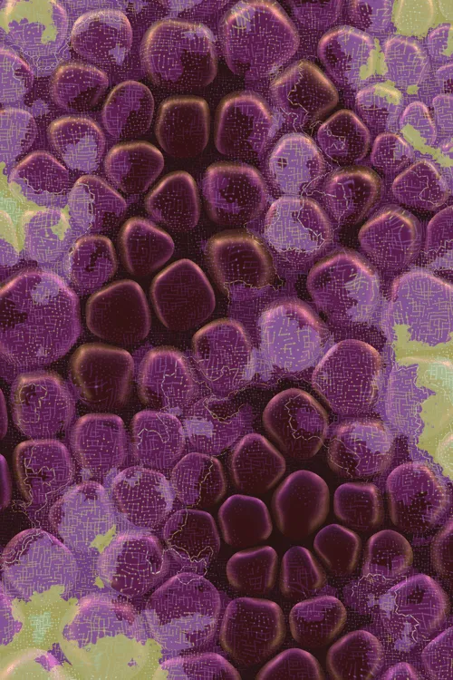 <p>Charlotte Dann’s “Vitreous” draws mysterious scenes of celestial arrangements and atomic bonds. Inspired by the artist’s fused glass practice, the background is layered with amorphous transparent forms that distort and magnify the art underneath, highlighting the abstract networks and connections that blur together upon first sight. In isolation, glass as a material is simple and transparent, but when used as a lens its most magical and unique property is revealed: the warping of perception. The new realities these distortions create are no less authentic than those absent of their effect – validating their alternate perspectives as an expansion of how we see our inner truth.</p>