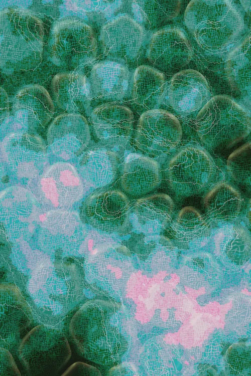 <p>Charlotte Dann’s “Vitreous” draws mysterious scenes of celestial arrangements and atomic bonds. Inspired by the artist’s fused glass practice, the background is layered with amorphous transparent forms that distort and magnify the art underneath, highlighting the abstract networks and connections that blur together upon first sight. In isolation, glass as a material is simple and transparent, but when used as a lens its most magical and unique property is revealed: the warping of perception. The new realities these distortions create are no less authentic than those absent of their effect – validating their alternate perspectives as an expansion of how we see our inner truth.</p>