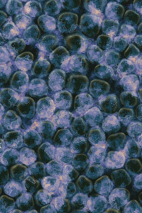 <p>Charlotte Dann’s “Vitreous” draws mysterious scenes of celestial arrangements and atomic bonds. Inspired by the artist’s fused glass practice, the background is layered with amorphous transparent forms that distort and magnify the art underneath, highlighting the abstract networks and connections that blur together upon first sight. In isolation, glass as a material is simple and transparent, but when used as a lens its most magical and unique property is revealed: the warping of perception. The new realities these distortions create are no less authentic than those absent of their effect – validating their alternate perspectives as an expansion of how we see our inner truth.</p>