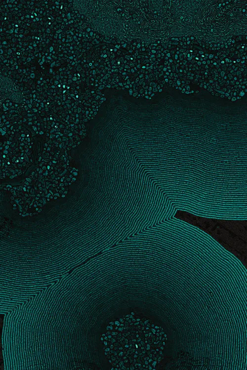 <p>David Seven’s “Dactylogram” emerges from the romantic ambition to embody the intricate essence of nature. In our relentless pursuit of equilibrium, beauty, and enlightenment, nature represents the idyllic state of these qualities. Nature silently catalyzes the mind, leading us toward moments of profound reflection, realization, and the occasional reset required to reach a state of harmony.</p>
<p>“Dactylogram” is a lens focusing on these very moments, capturing them as if an omnipresent camera gracefully traverses the vast expanses of our universe – from cosmos to microcosm to inner cosmos. Through a mesmerizing interplay of perspectives, textures, and the harmonious unification of elements, it gently beckons us to recognize a fundamental truth: the intricate interconnectedness of all aspects of nature, including ourselves. </p>
<p>It can be said that the deepest truth lies enshrined in the objective, constant forces that sculpt the universe. Unswayed by bias, immune to denial, they exist in a state of deterministic elegance that remains under influence from the chaotic dance of cosmic happenstance. It is precisely within the contradictions of this paradigm that we find the true essence of beauty and a poignant reminder of the uncontrollable balance of existence – the truth of nature. “Dactylogram” is simply a reminder of this truth, capturing a fleeting moment whose humble truth is proven by its creation – just as profound as the most enduring natural phenomena, and a testament to the enigmatic allure of gazing deep into the cosmos, in whichever direction it might be.</p>